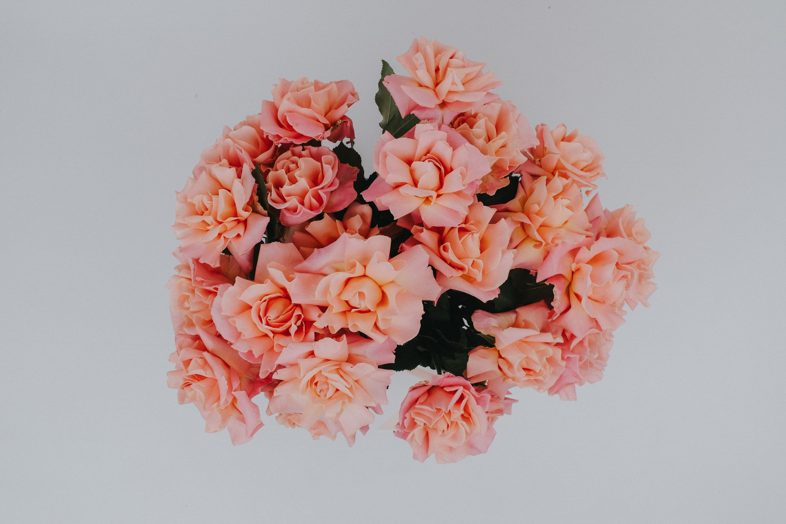 Контент для салона цветов. Свадебный и репортажной фотограф Денис Ожигин в Краснодаре и Краснодарском крае