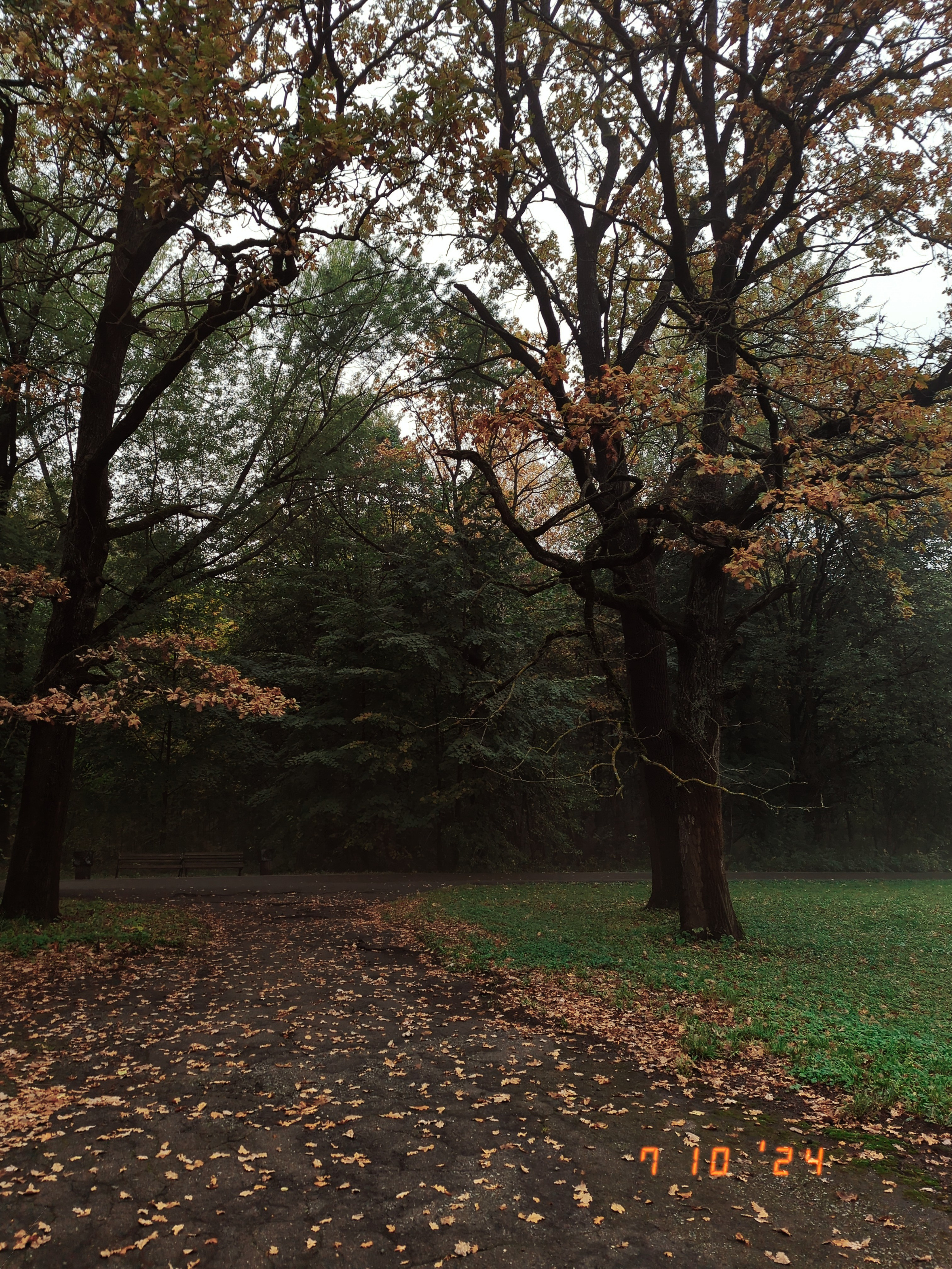 Камера телефон iphone camera. •fpsmax• фотограф-ретушер