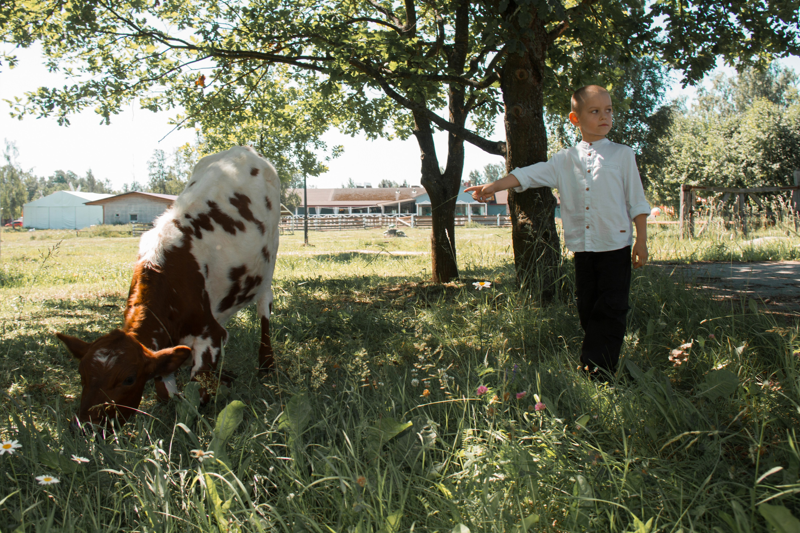 Семейная съёмка в Петергофе. Свадебный, семейный и контент фотограф в Санкт- Петербурге Елена Грие