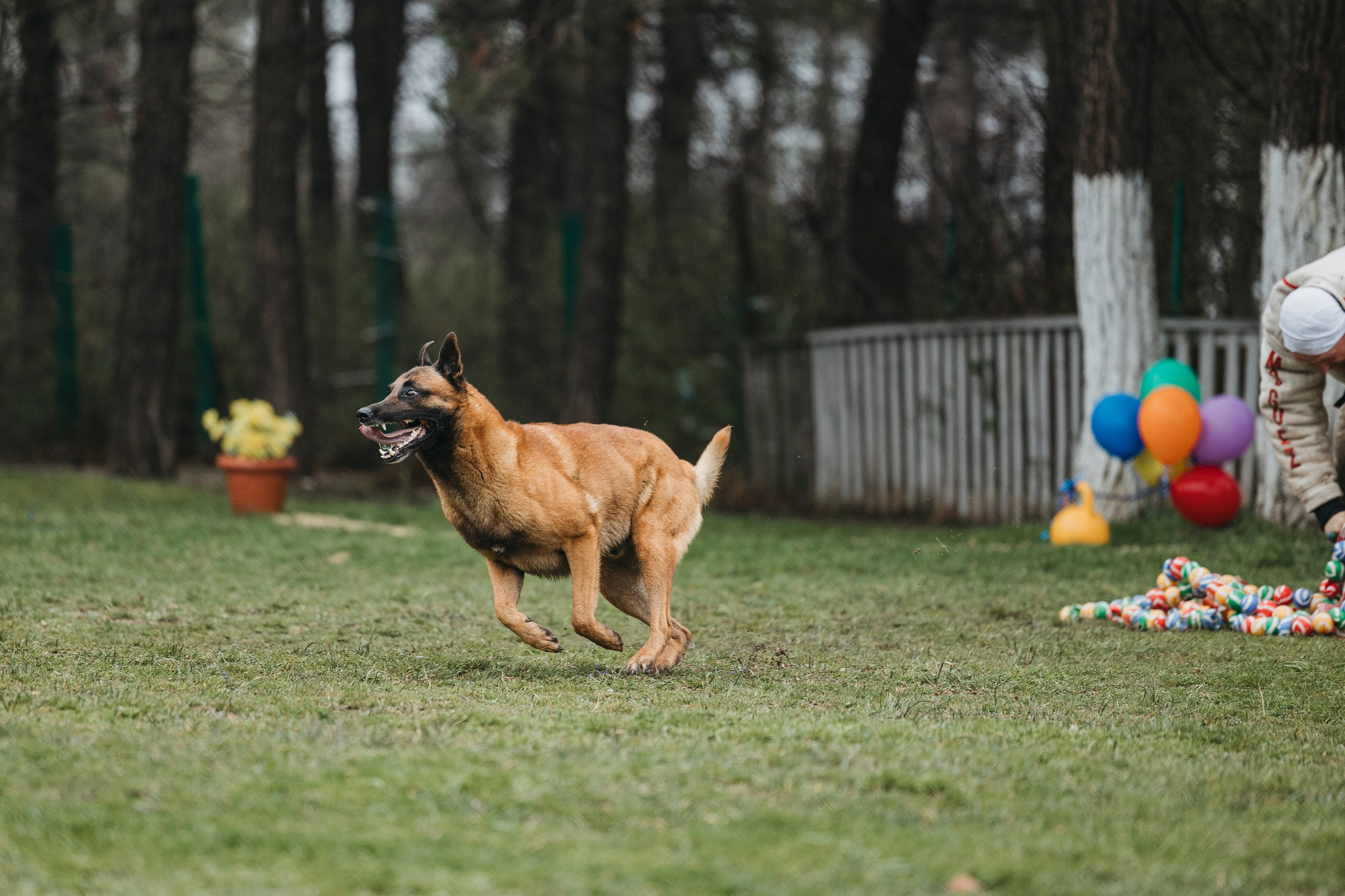 Геленджик Мондьоринг. Фотограф-анималист Анна Маринич