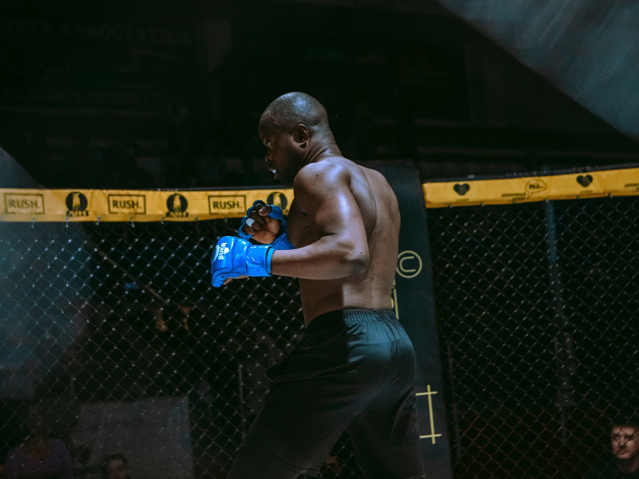 SFL 17 | Siberian Fighting League. Портретный фотограф в Москве Дарья Цезария