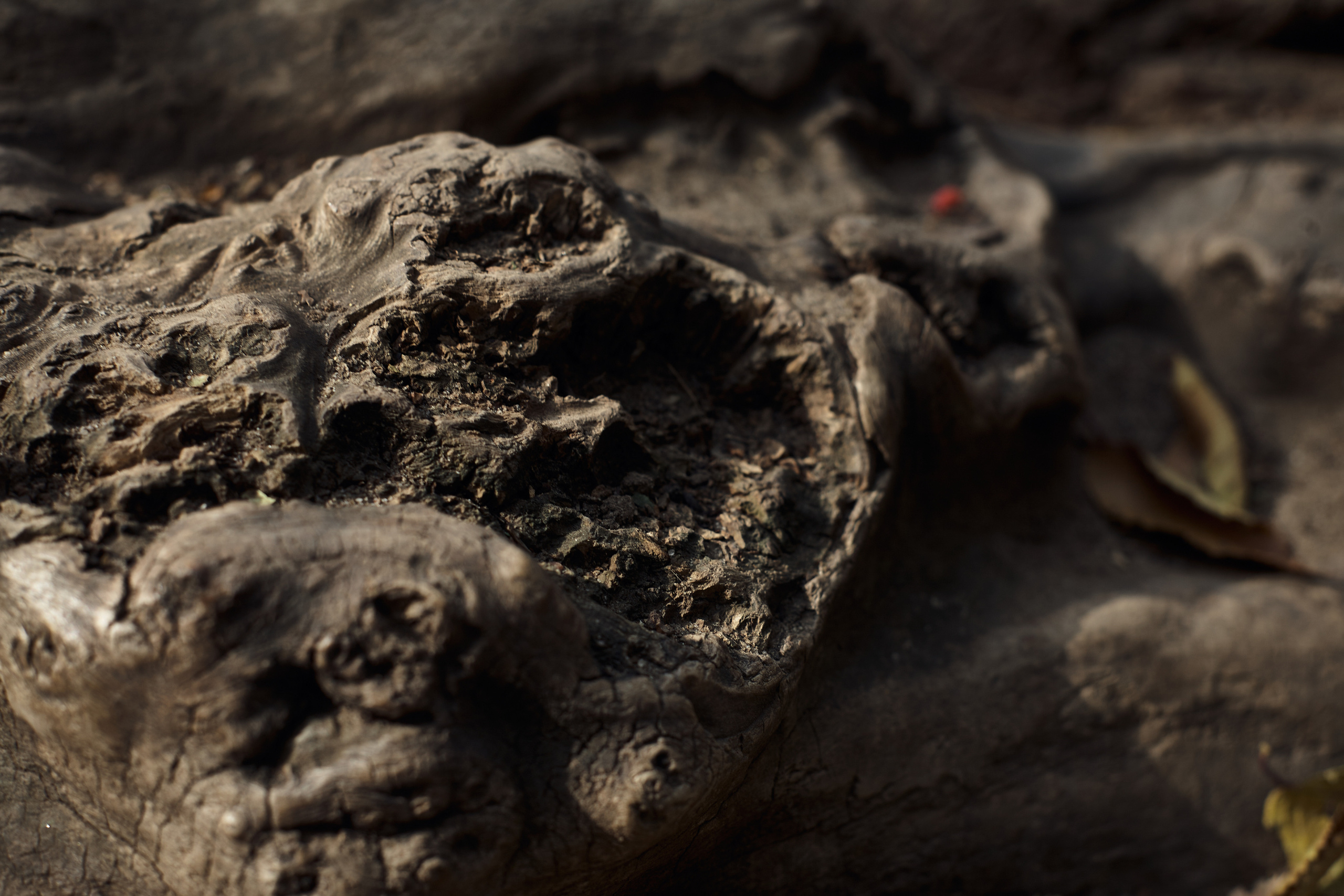 Фотограф в Волгограде Соколова Вера