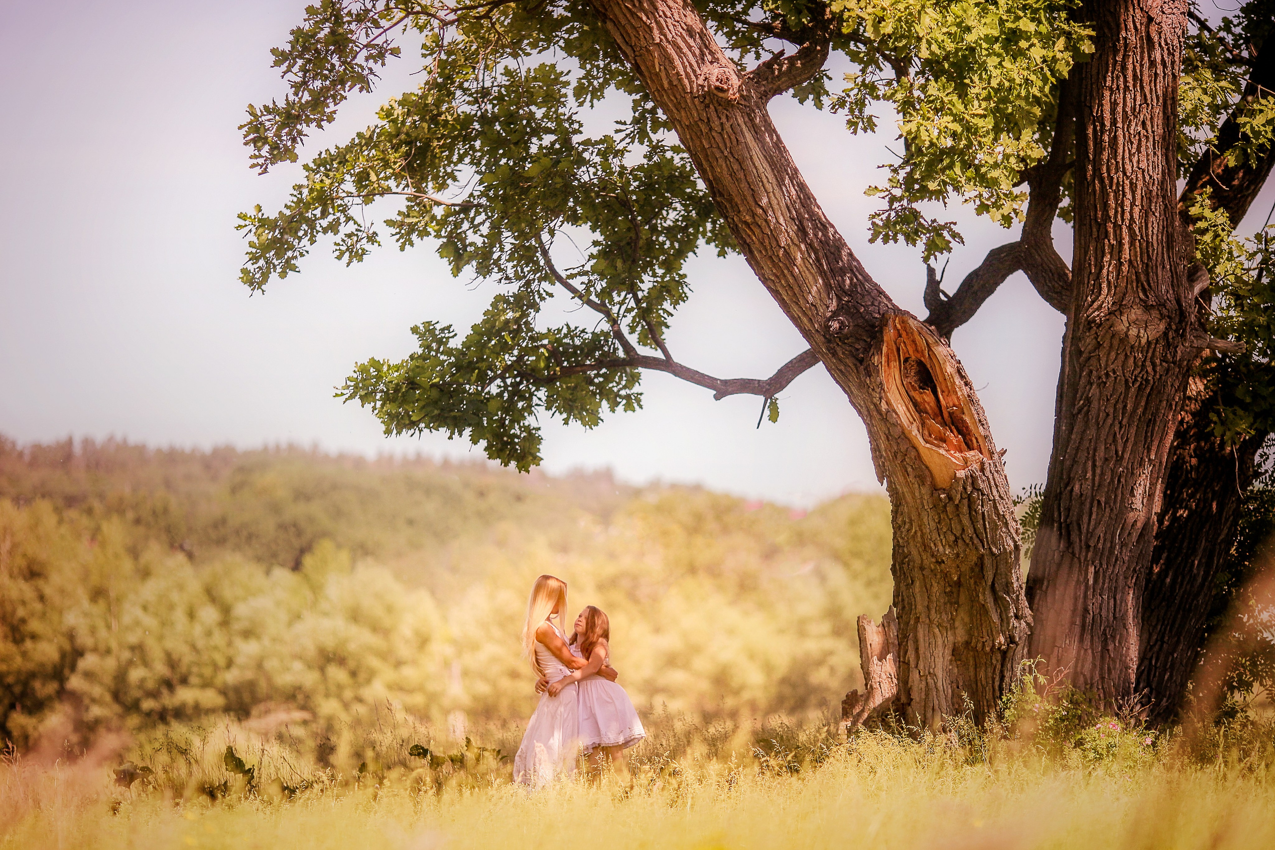 הנחות. צלם ואמן ילדים ומשפחה