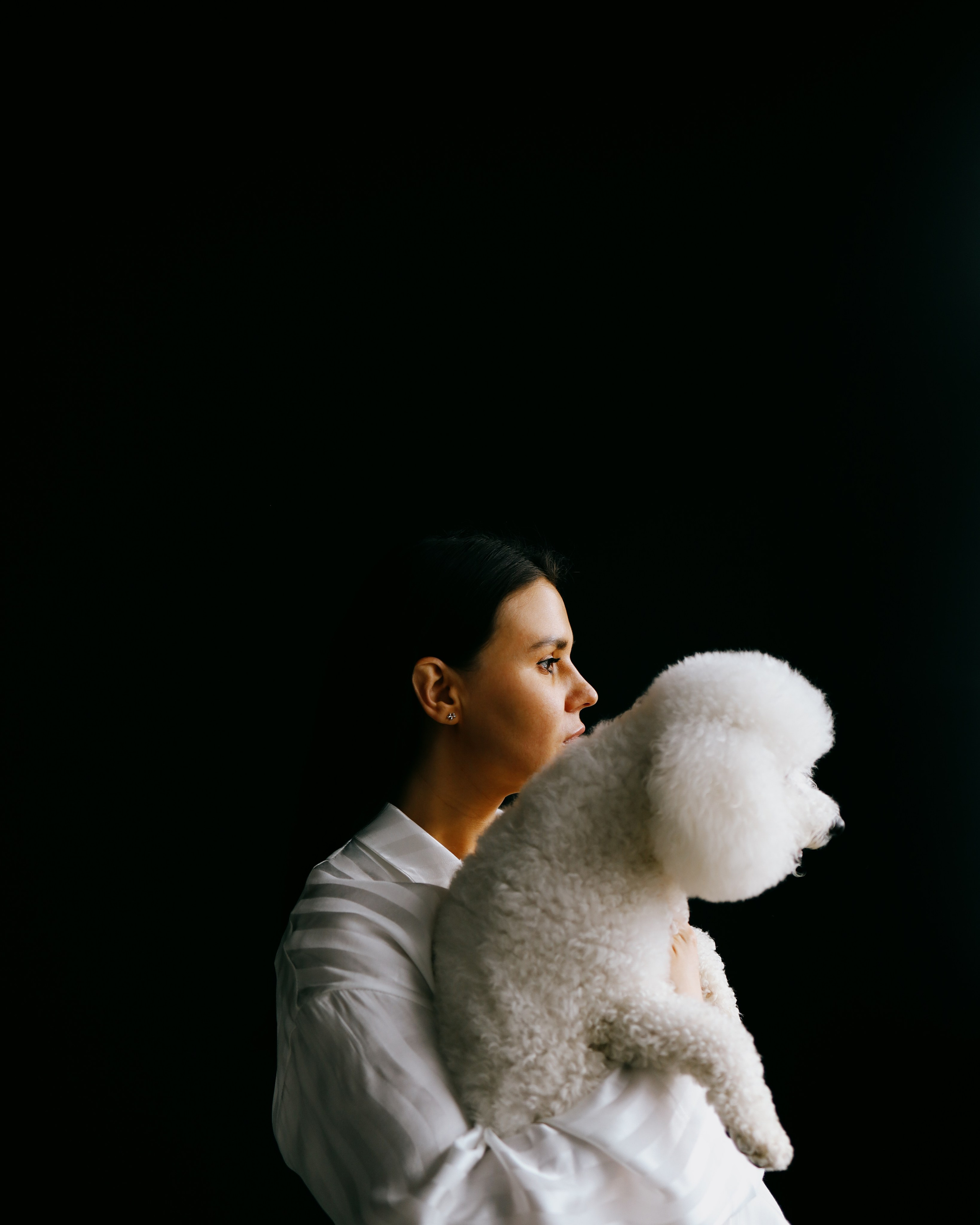 Портретный фотограф в Москве. Фотосессии с собаками