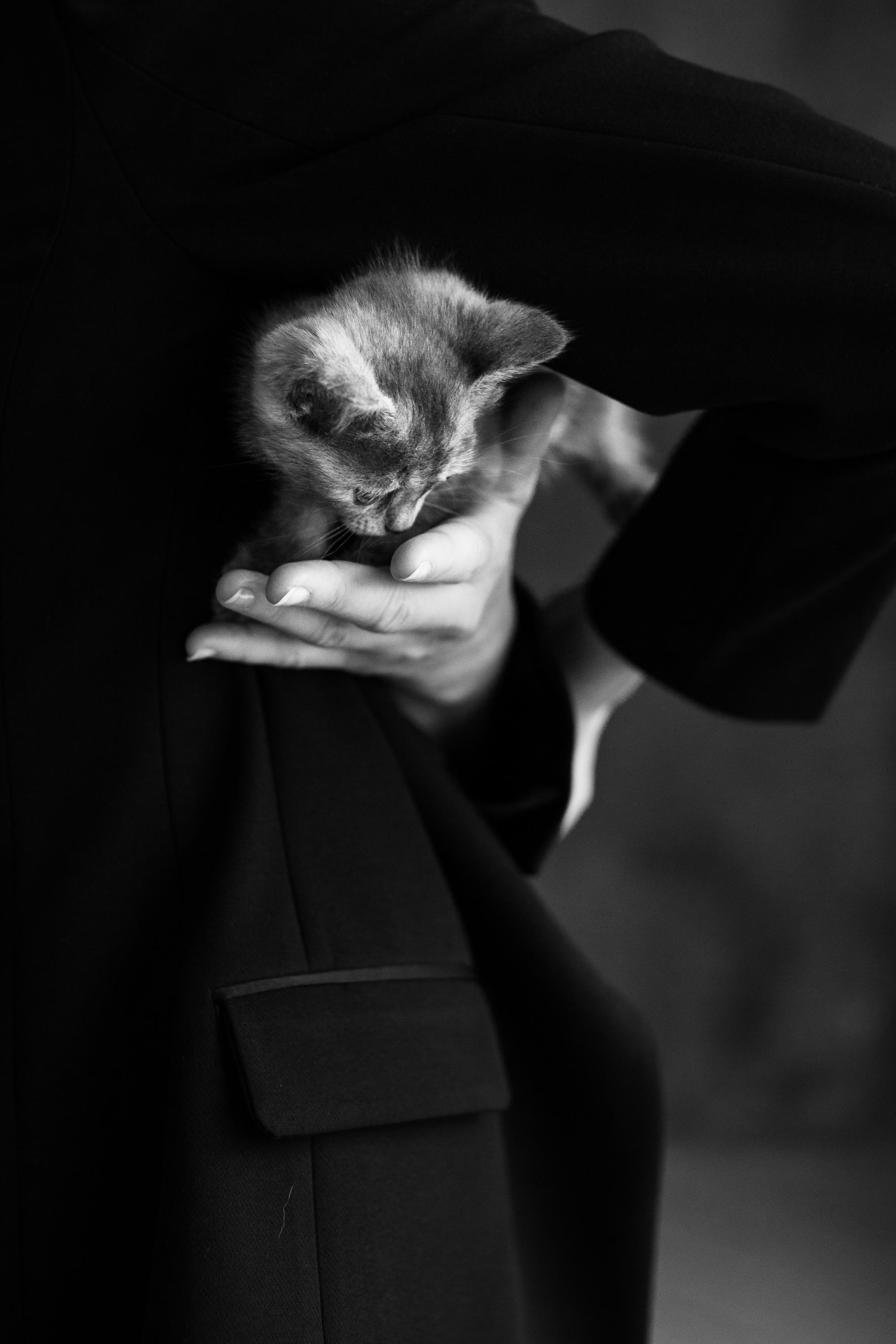 Настя, Веня, Майя и кот. Портретный творческий фотограф в Москве Надя Дудник