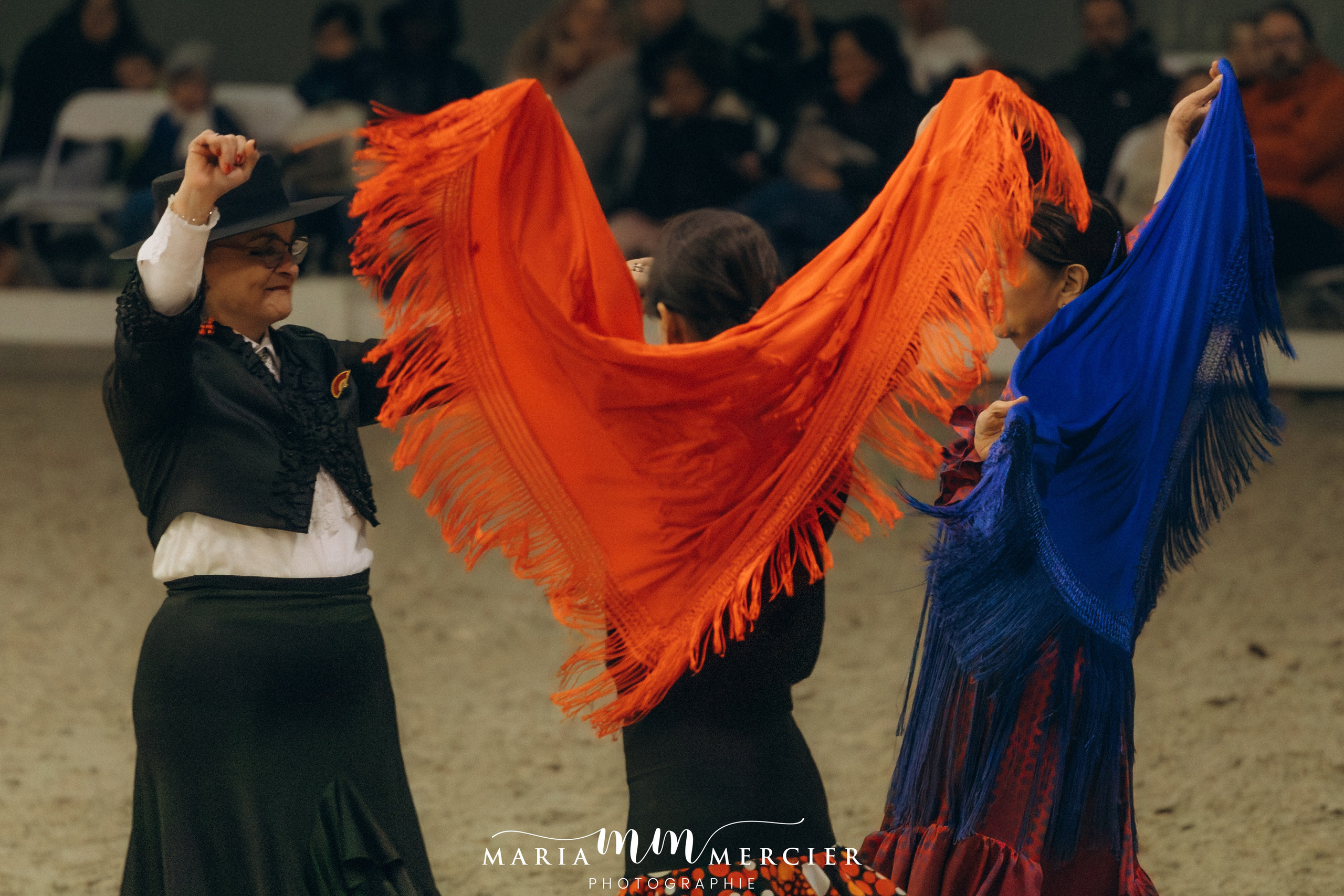 Evènements. Photographe des familles et enfants à Nantes et alentours