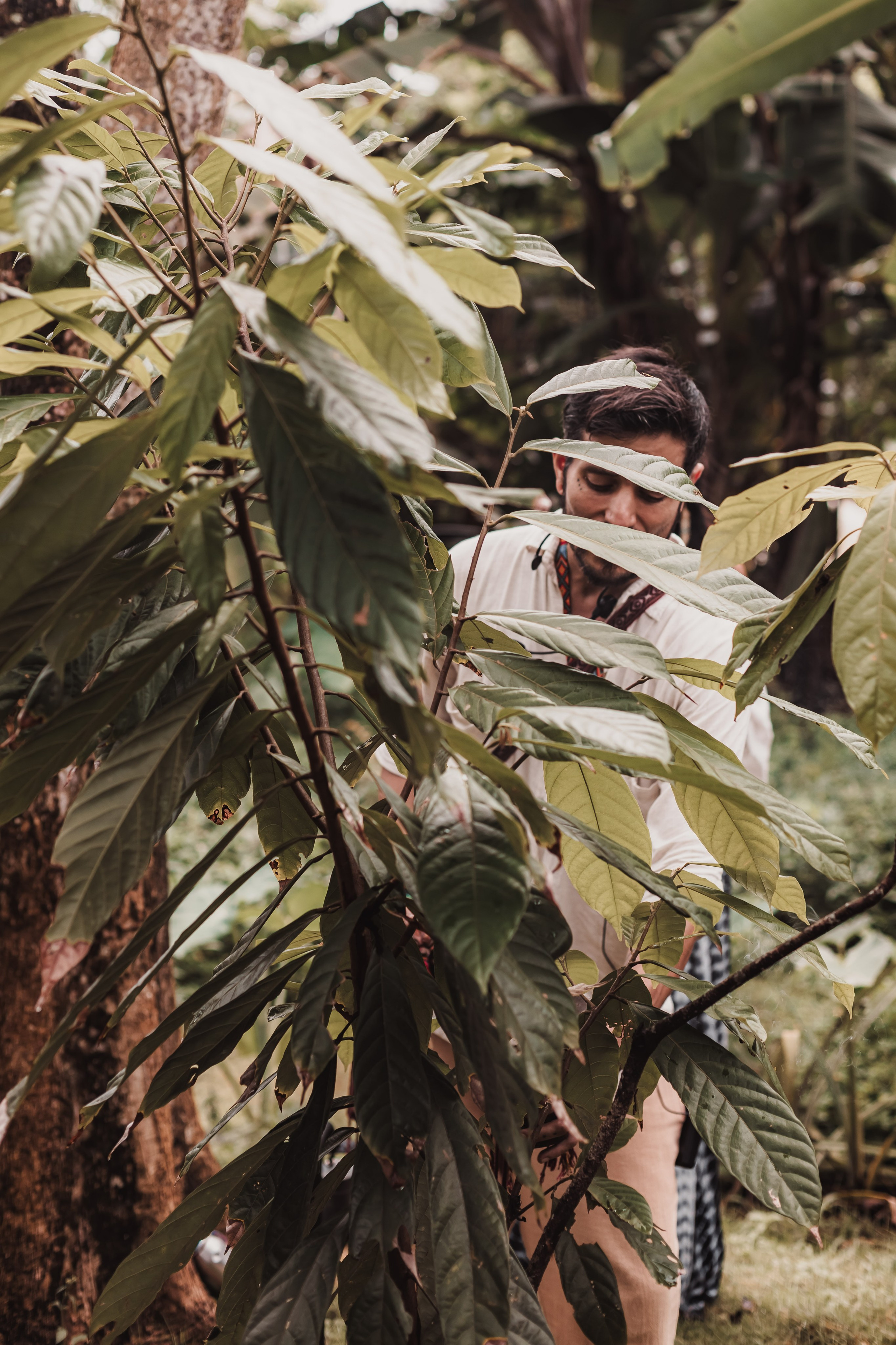 Cacao alchemy w Juan. Мариам Багдасарян