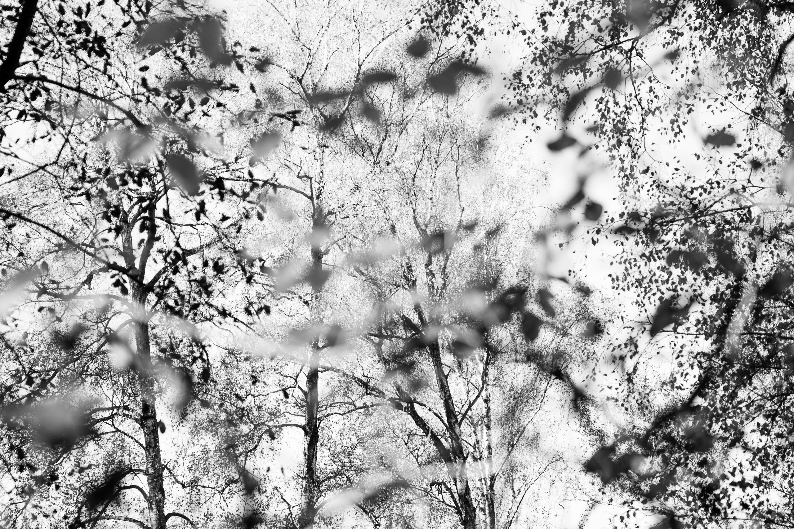 Разное неважное. Фотограф в Москве Алейникова Евгения