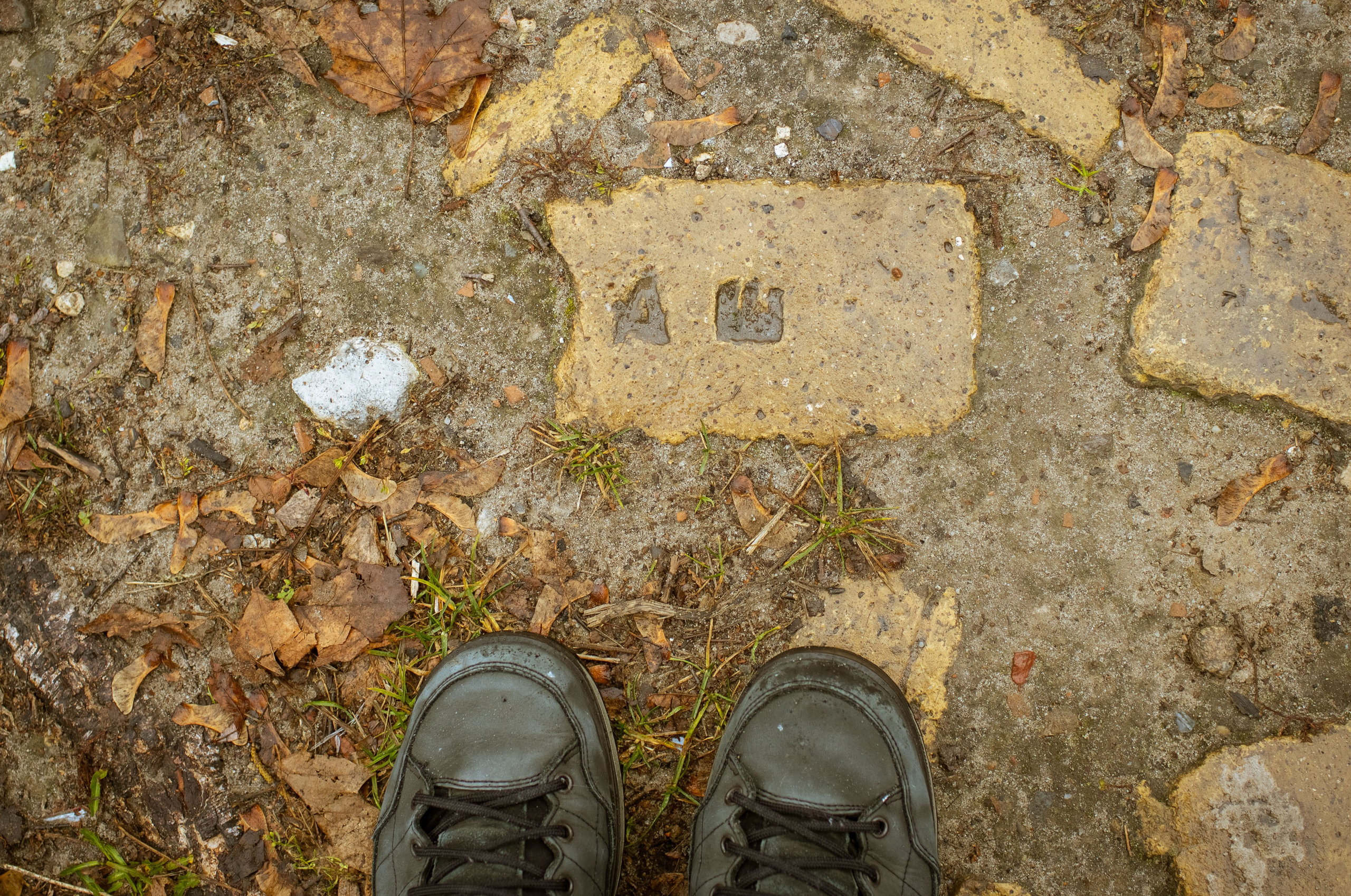 Новозыбков (осень 2021). Фотограф Виноградов Константин