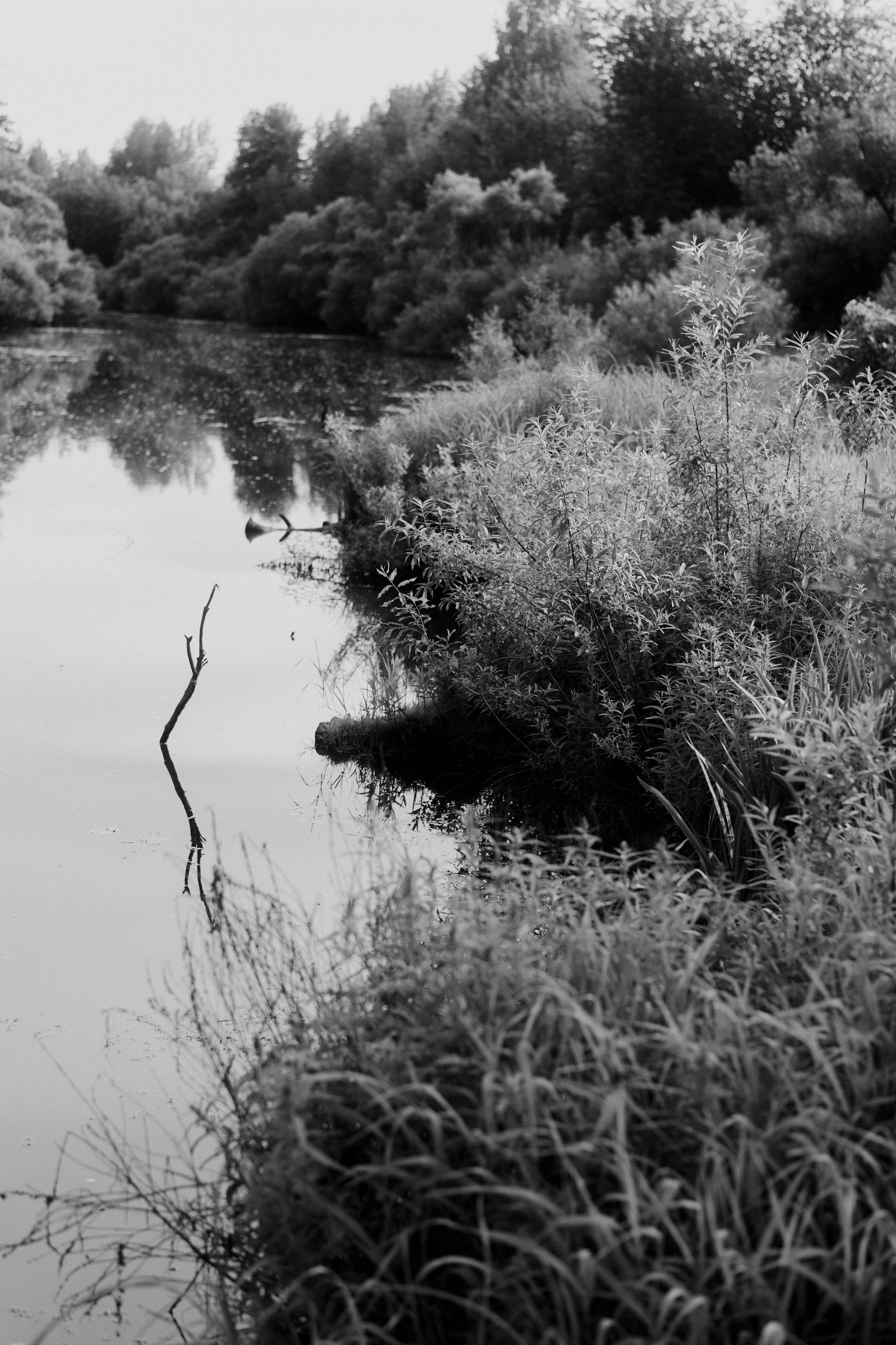 Деревня Петрово (Томская область). Veronika Popadeikina Photographer