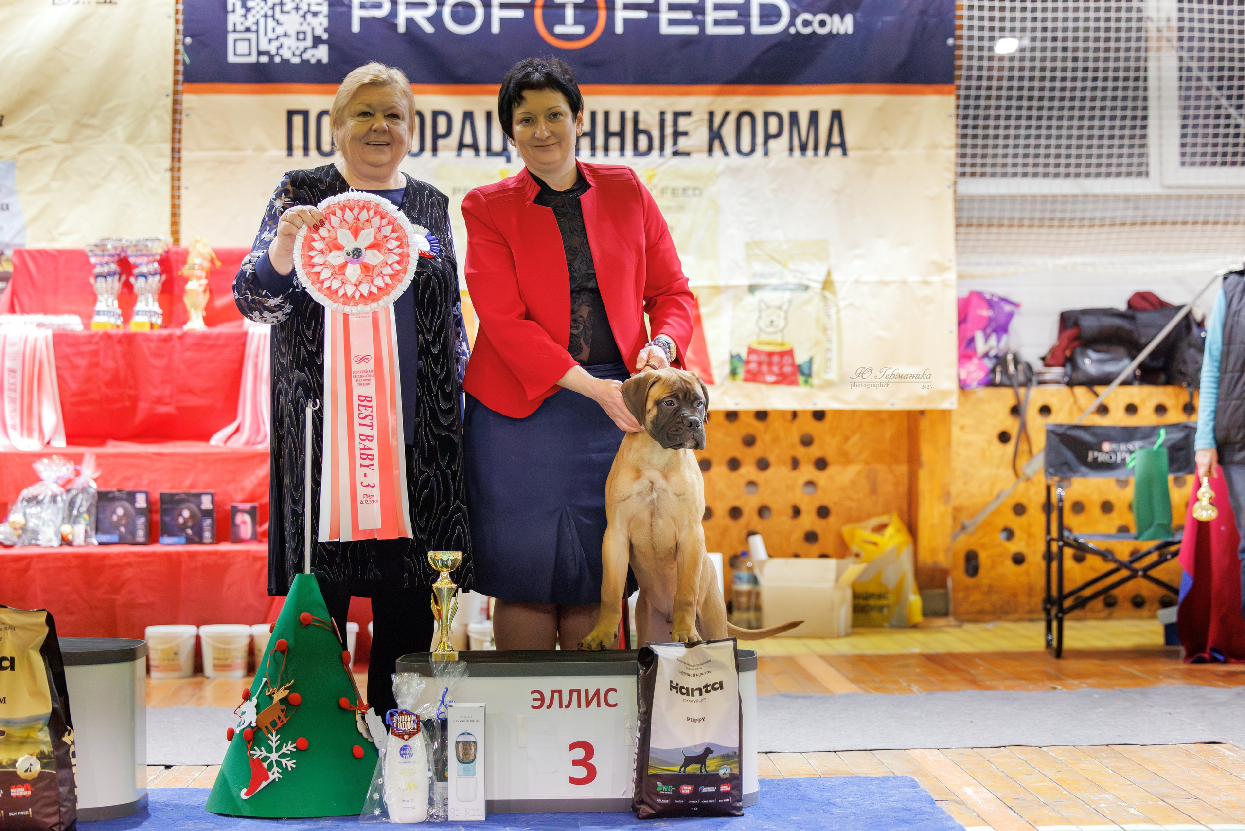 Тверь 21.12.2025. Фотограф-анималист Юлия Германика