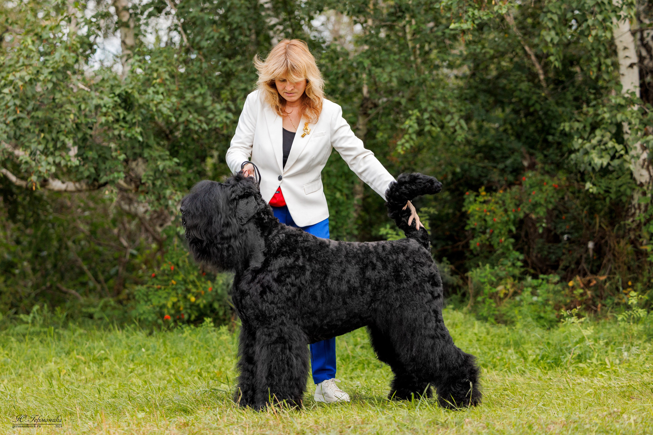 Астана 2хCACIB 17-18.08.2024. Фотограф-анималист Юлия Германика