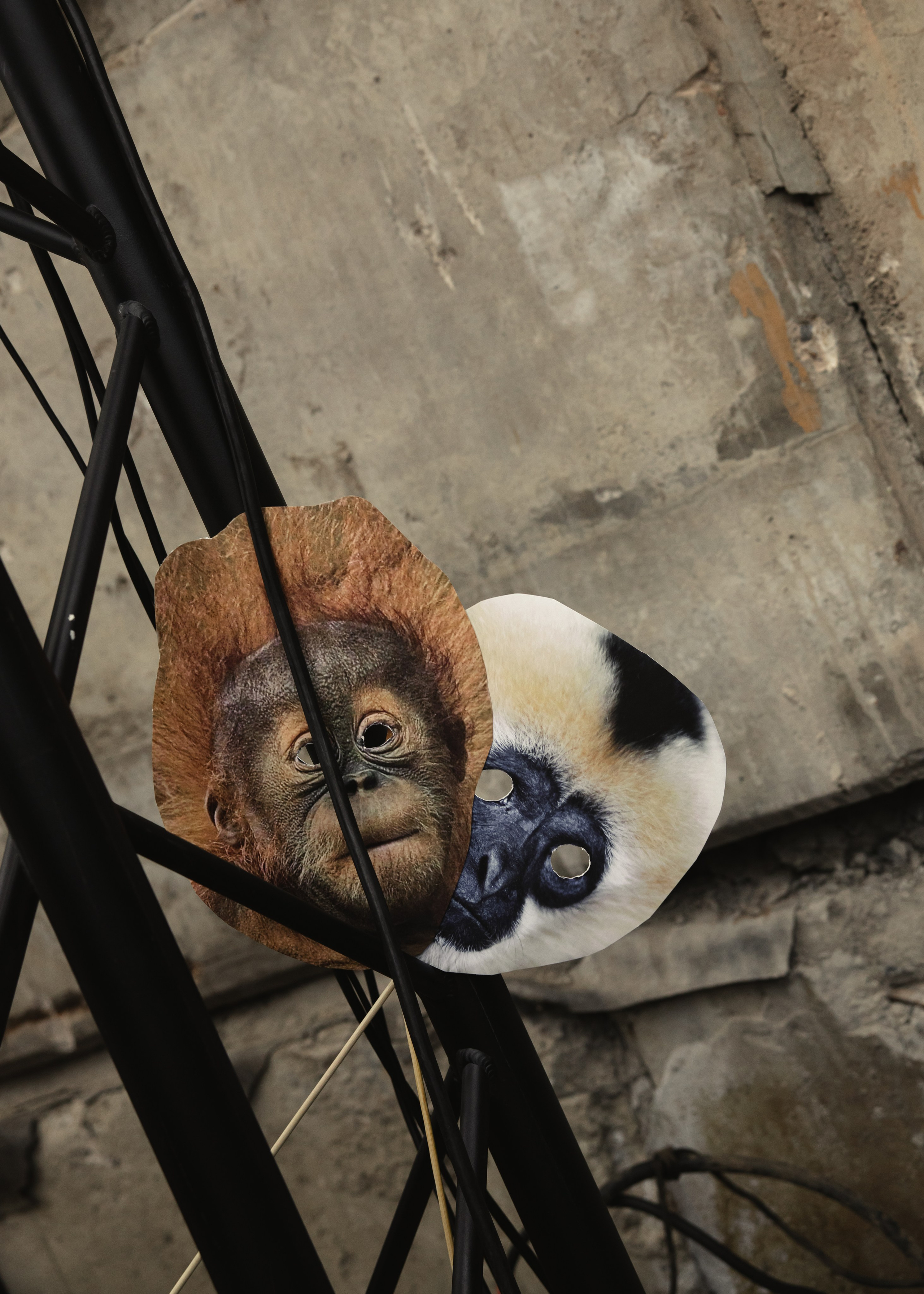 @sladkayavataagency. Свадебный и репортажный фотограф в Москве Владимир Сергеев | Naysaikolo