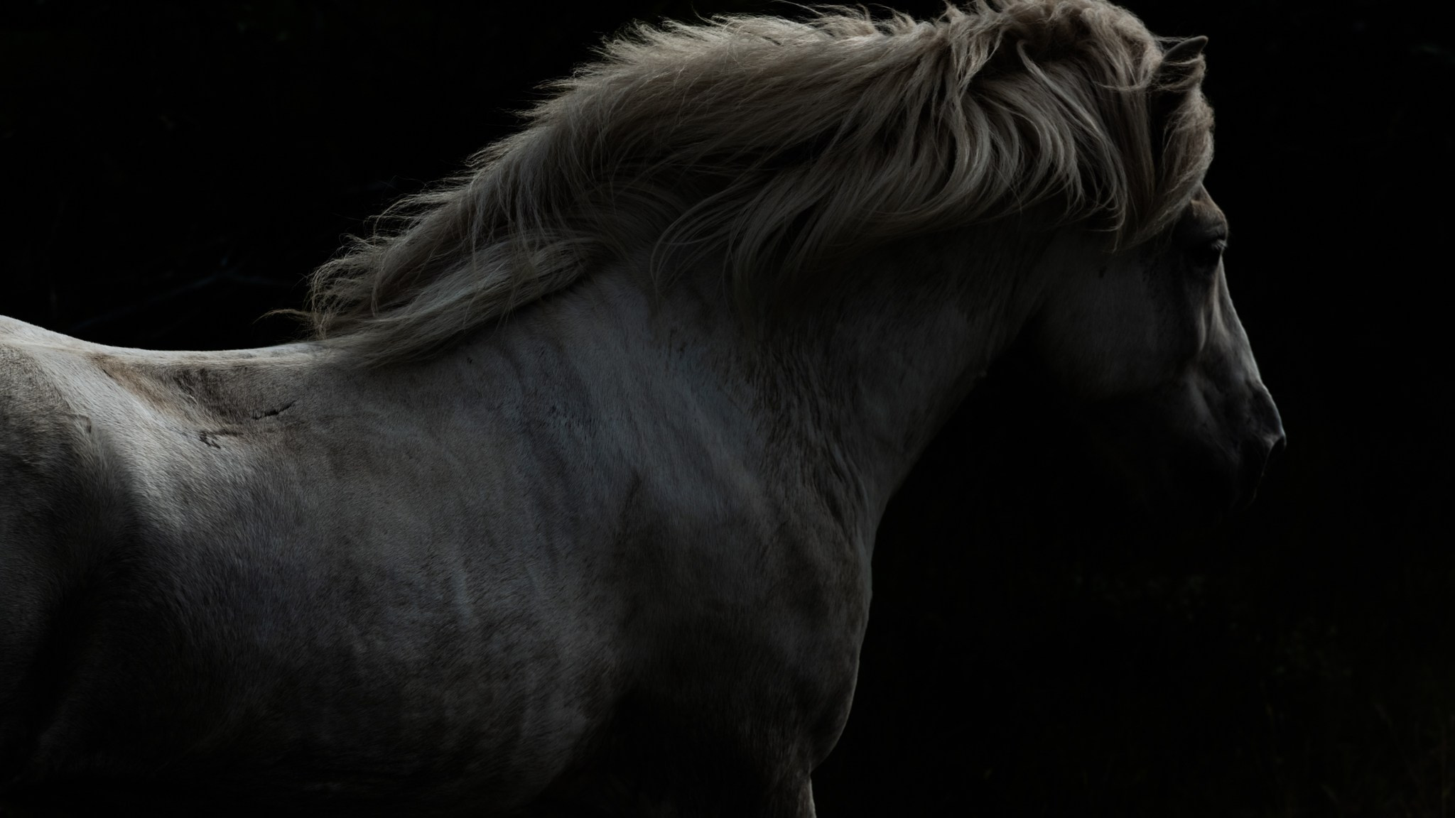 NATURE. Sailing Photographer Marina Semenova