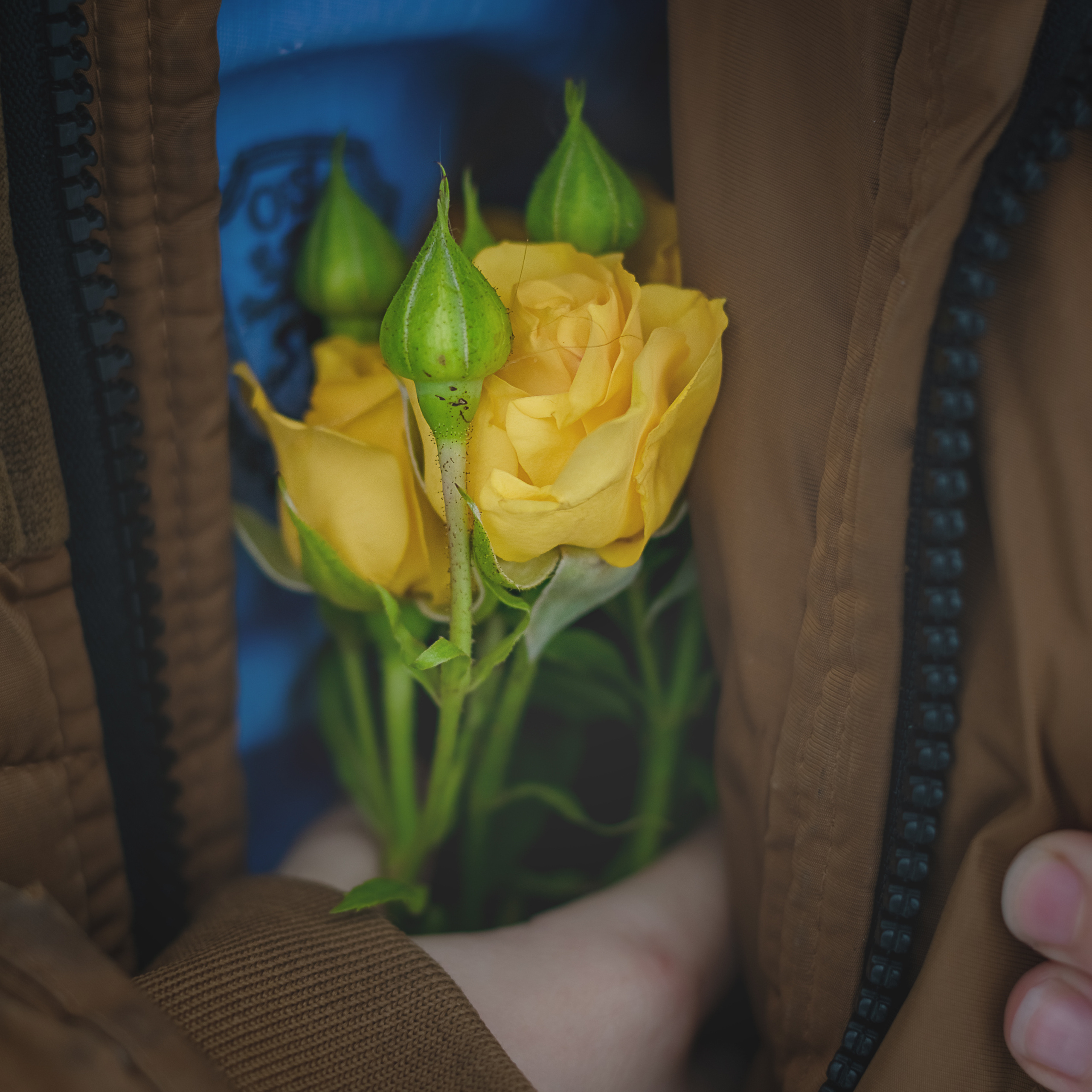 Цветы для мамы. Детский и семейный фотограф Шклов, Могилев и вся Беларусь