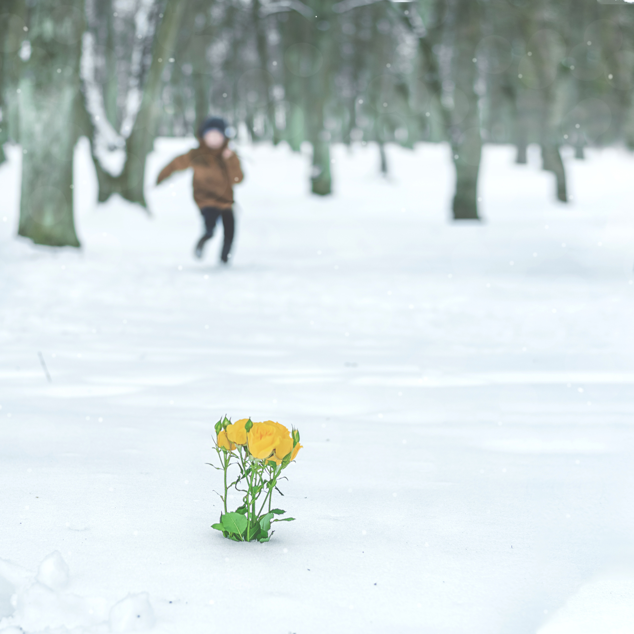 Цветы для мамы. Детский и семейный фотограф Шклов, Могилев и вся Беларусь