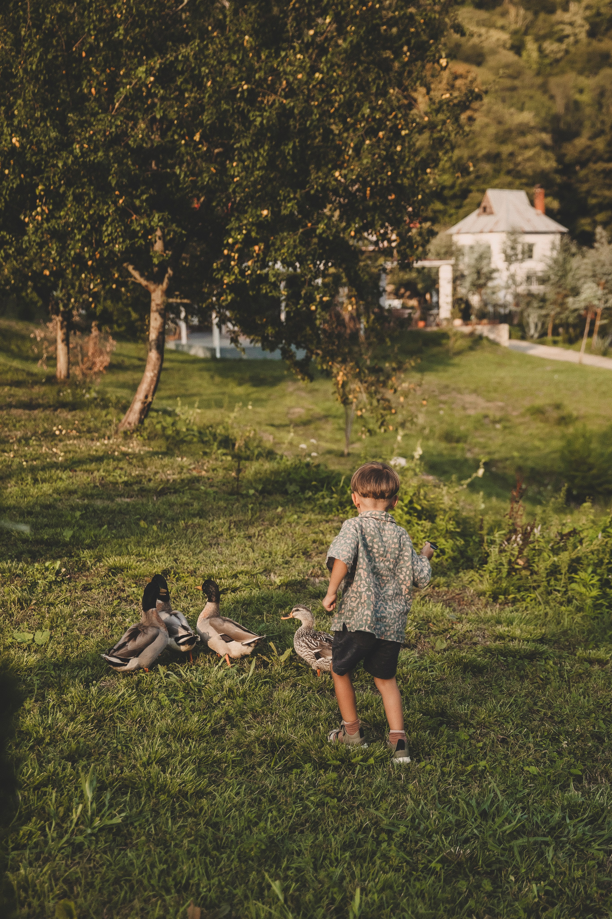 Семья Татьяны. Свадебный и семейный фотограф Колоскова Мария (Сочи и весь мир)