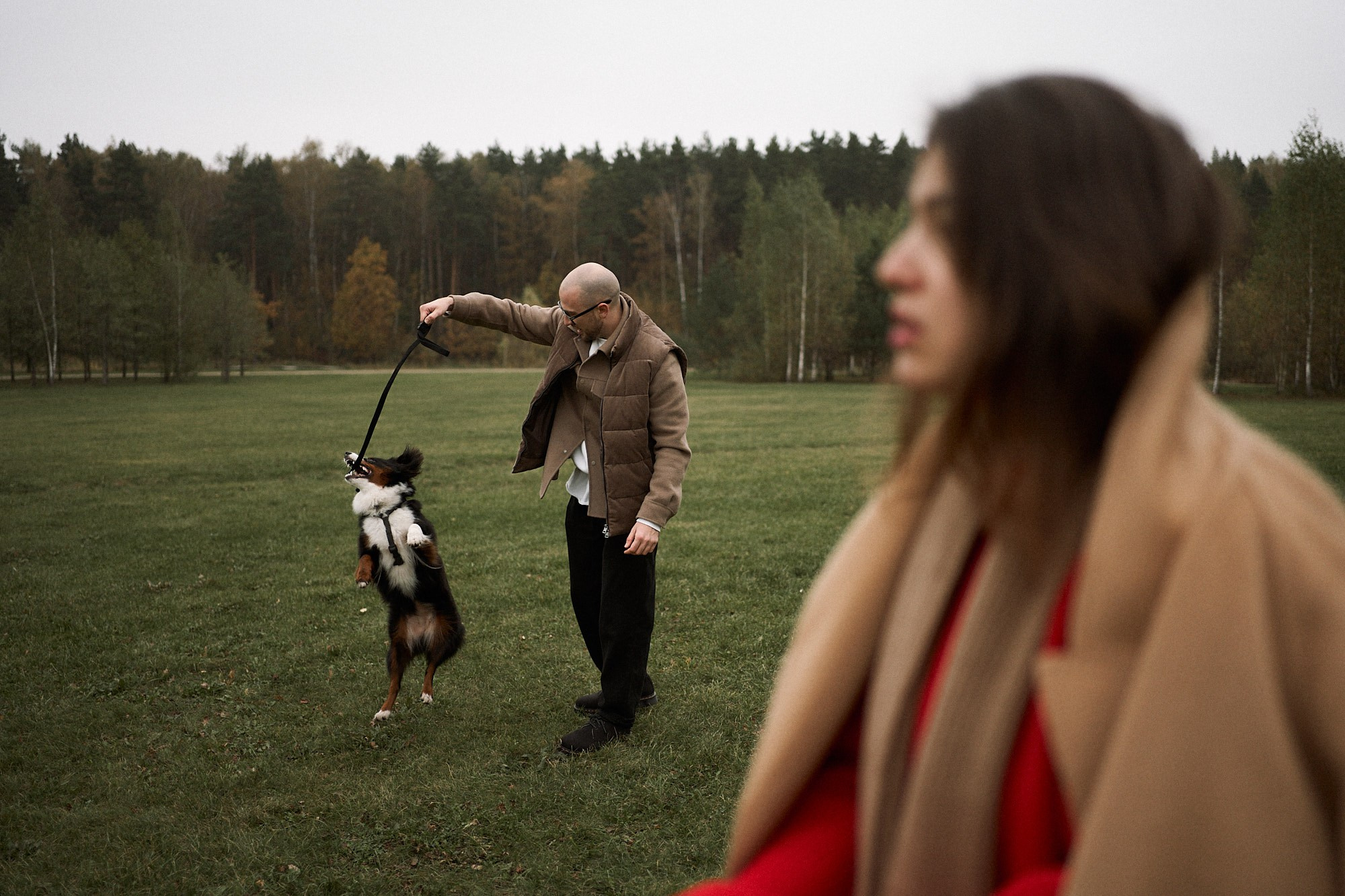 Осенью любить. Фотограф анималист Москва Дарья
