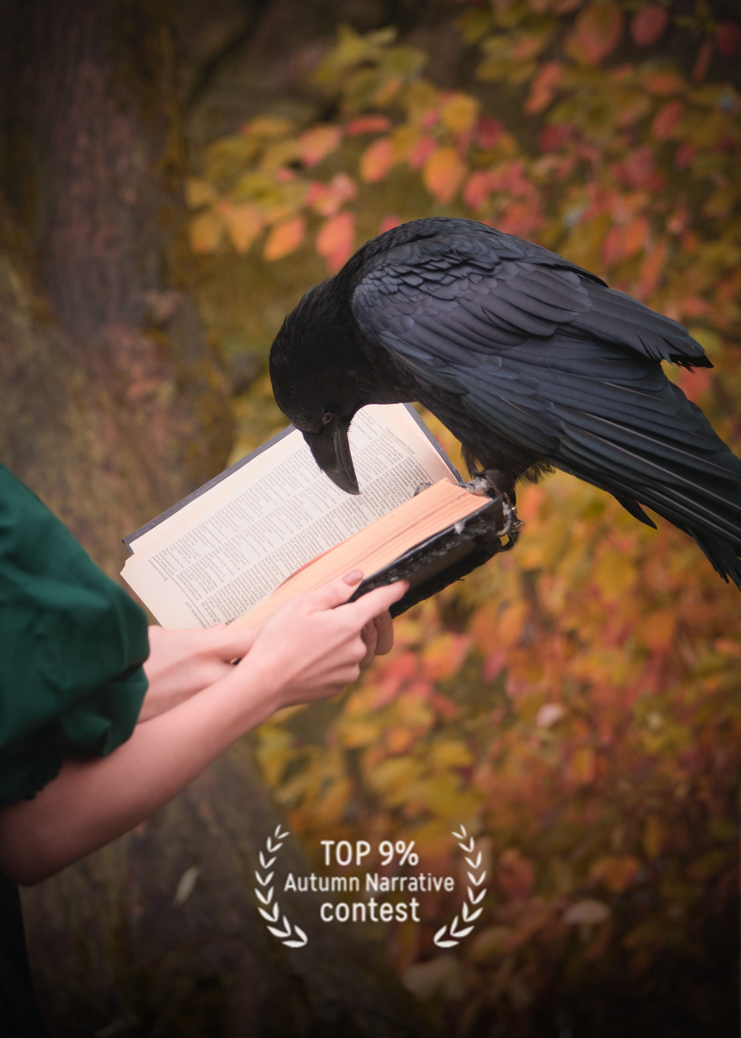 Фото тематического конкурса 35 awards осенний сюжет фотограф Колышева Виктория