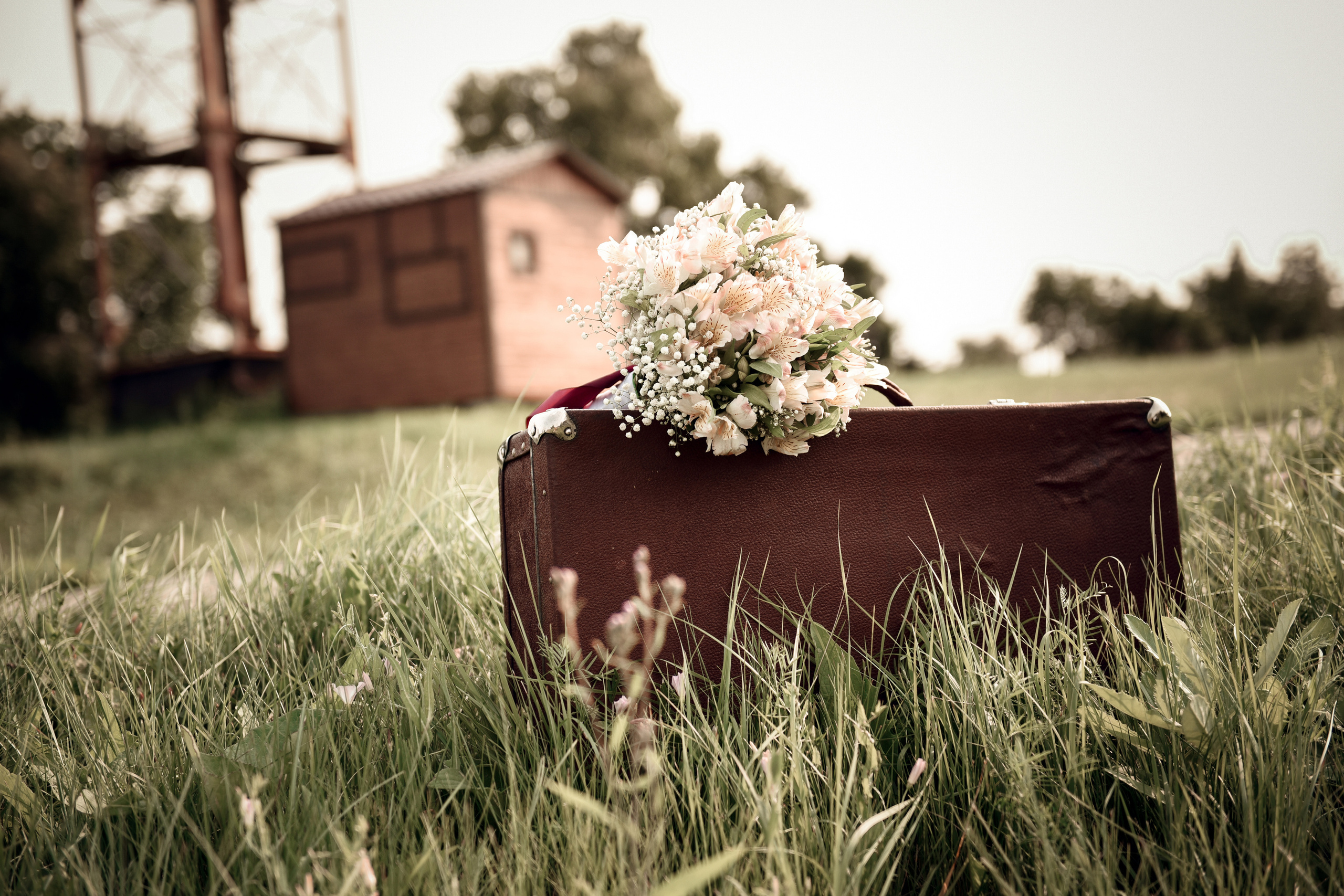 Роман и Алина. Свадебный, семейный, детский, контент фотограф в Омске Максим Ильин