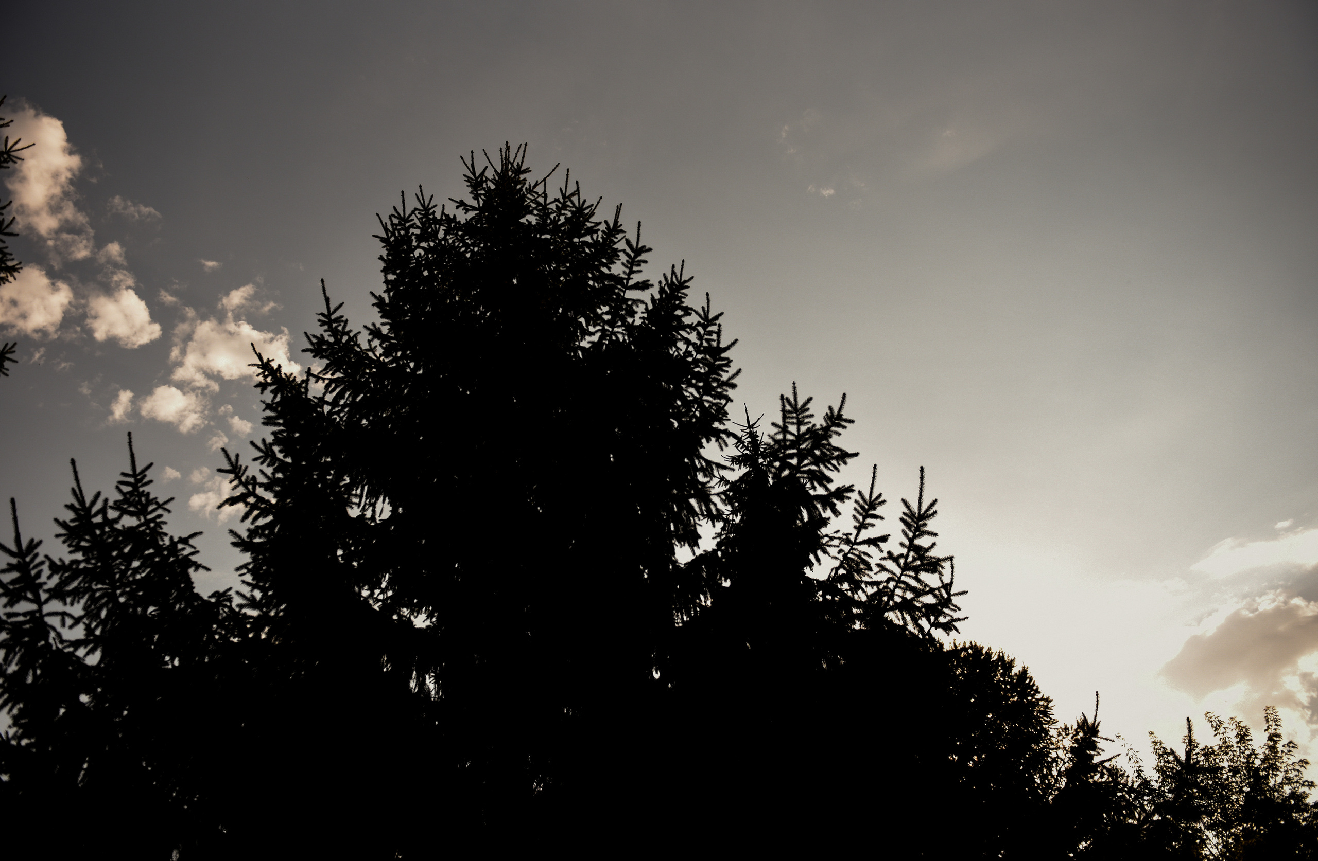 Свадебная серия Миши и Кристины. Свадебный, семейный, детский, контент фотограф в Омске Максим Ильин