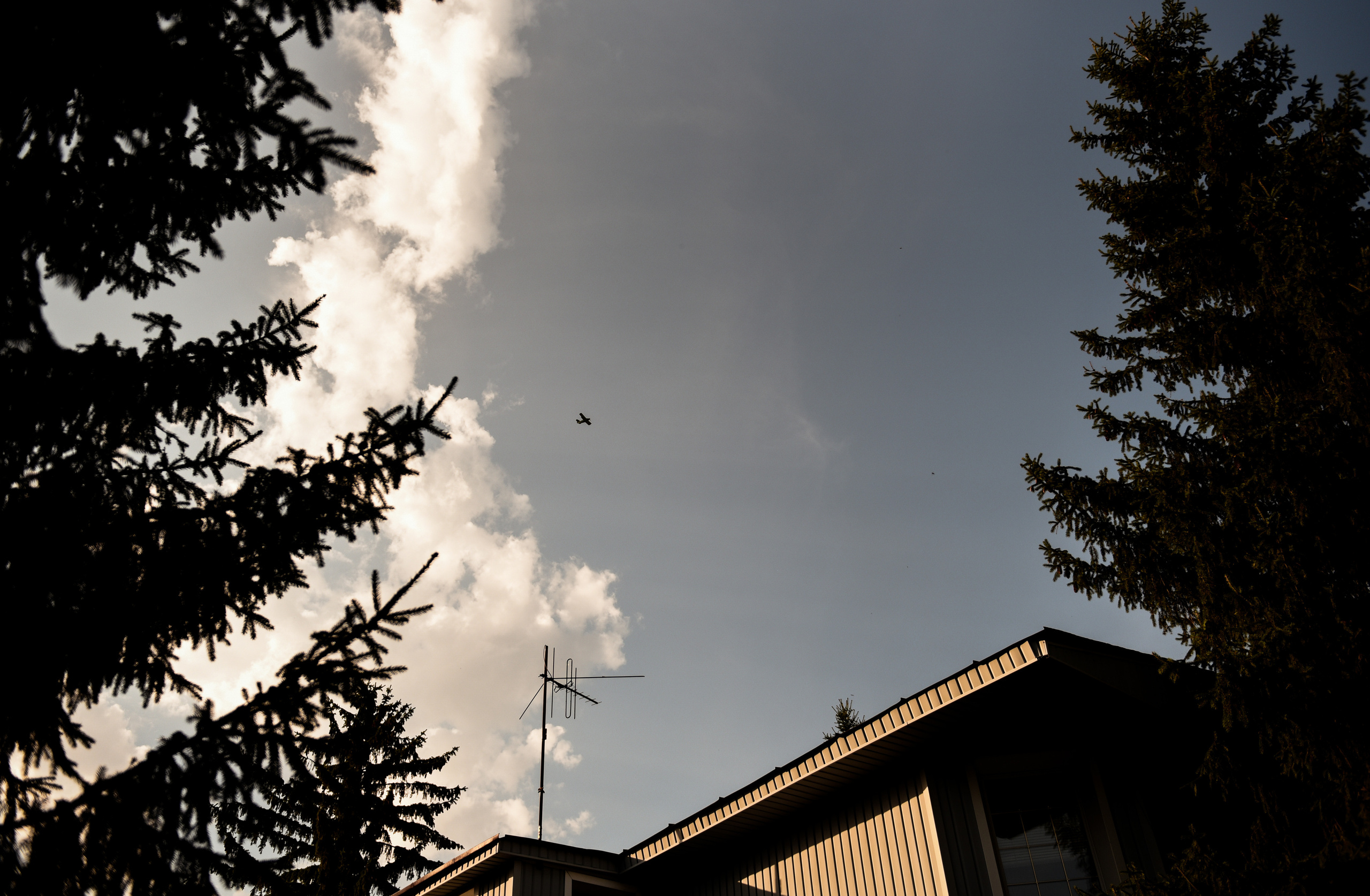 Свадебная серия Миши и Кристины. Свадебный, семейный, детский, контент фотограф в Омске Максим Ильин