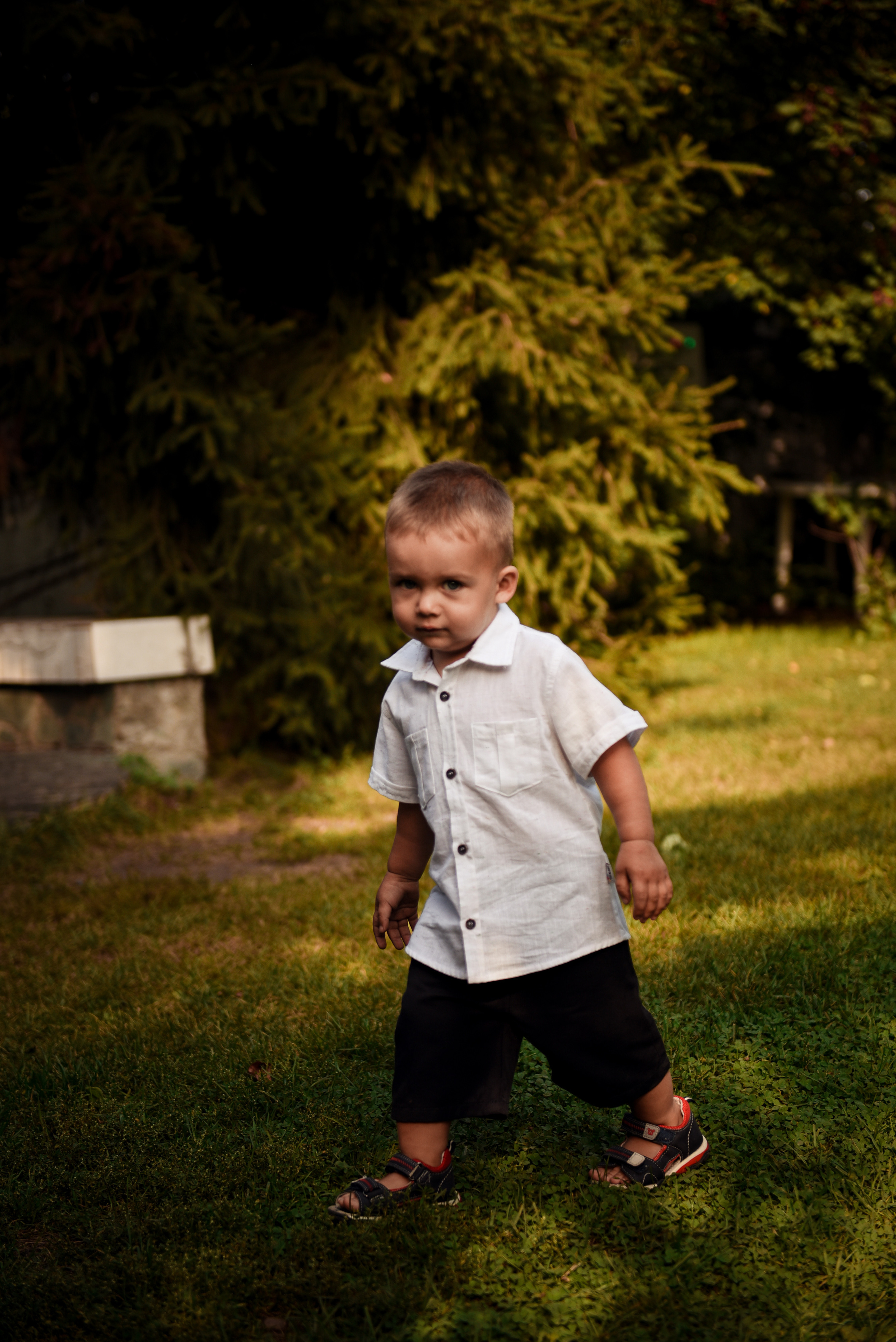 Свадебная серия Миши и Кристины. Свадебный, семейный, детский, контент фотограф в Омске Максим Ильин