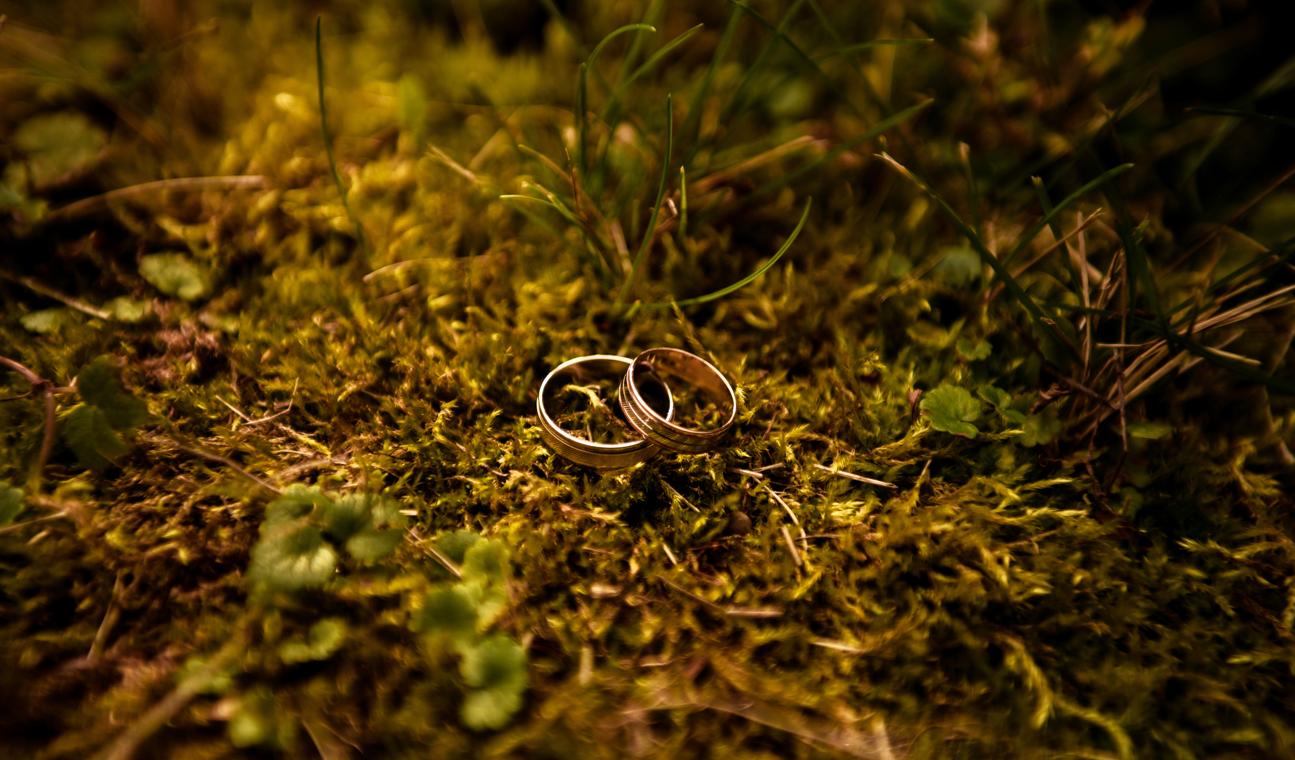 Витя и Юля 2х — часовая прогулка. Свадебный, семейный, детский, контент фотограф в Омске Максим Ильин