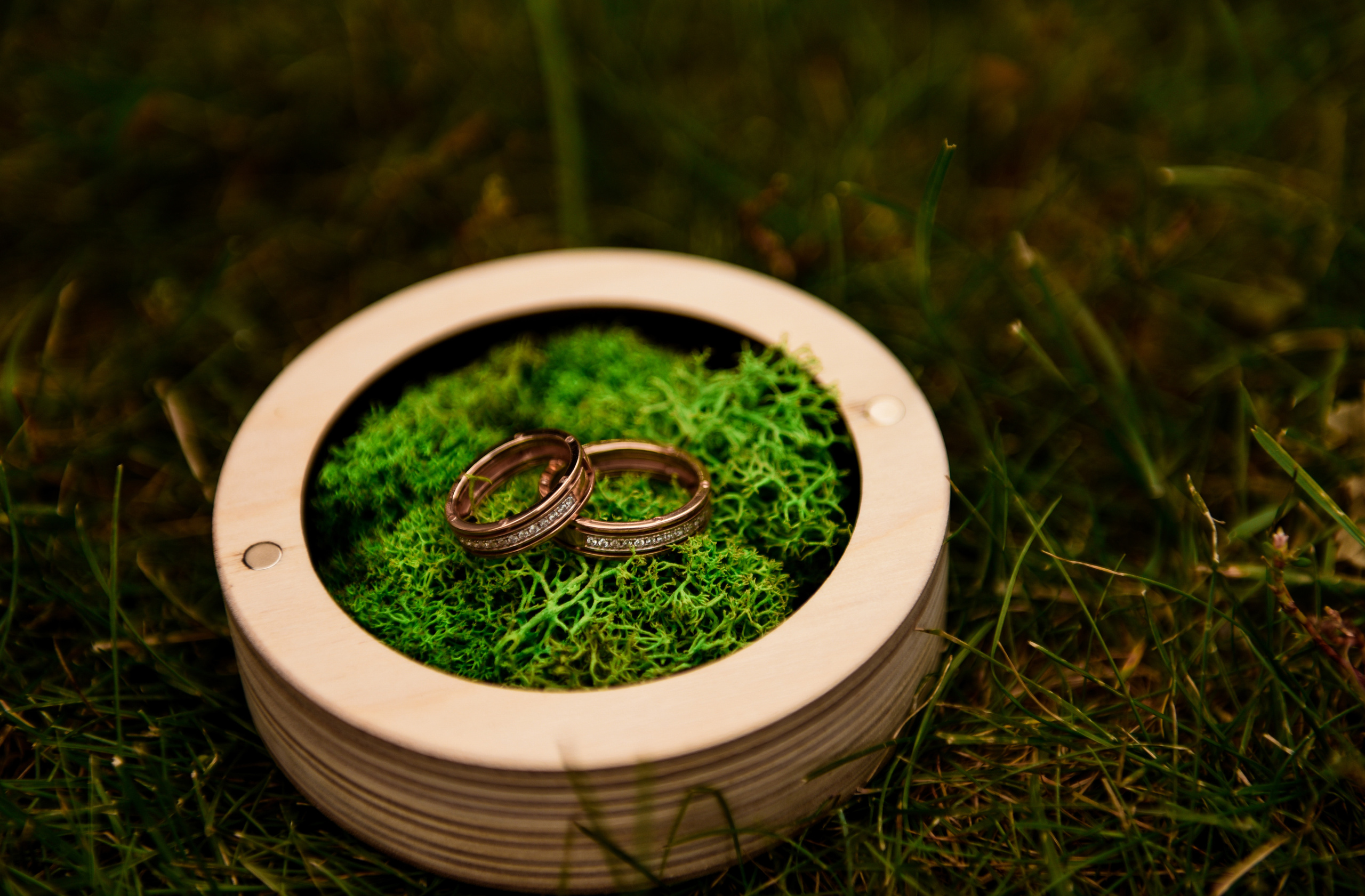 Свадебная серия Миши и Кристины. Свадебный, семейный, детский, контент фотограф в Омске Максим Ильин