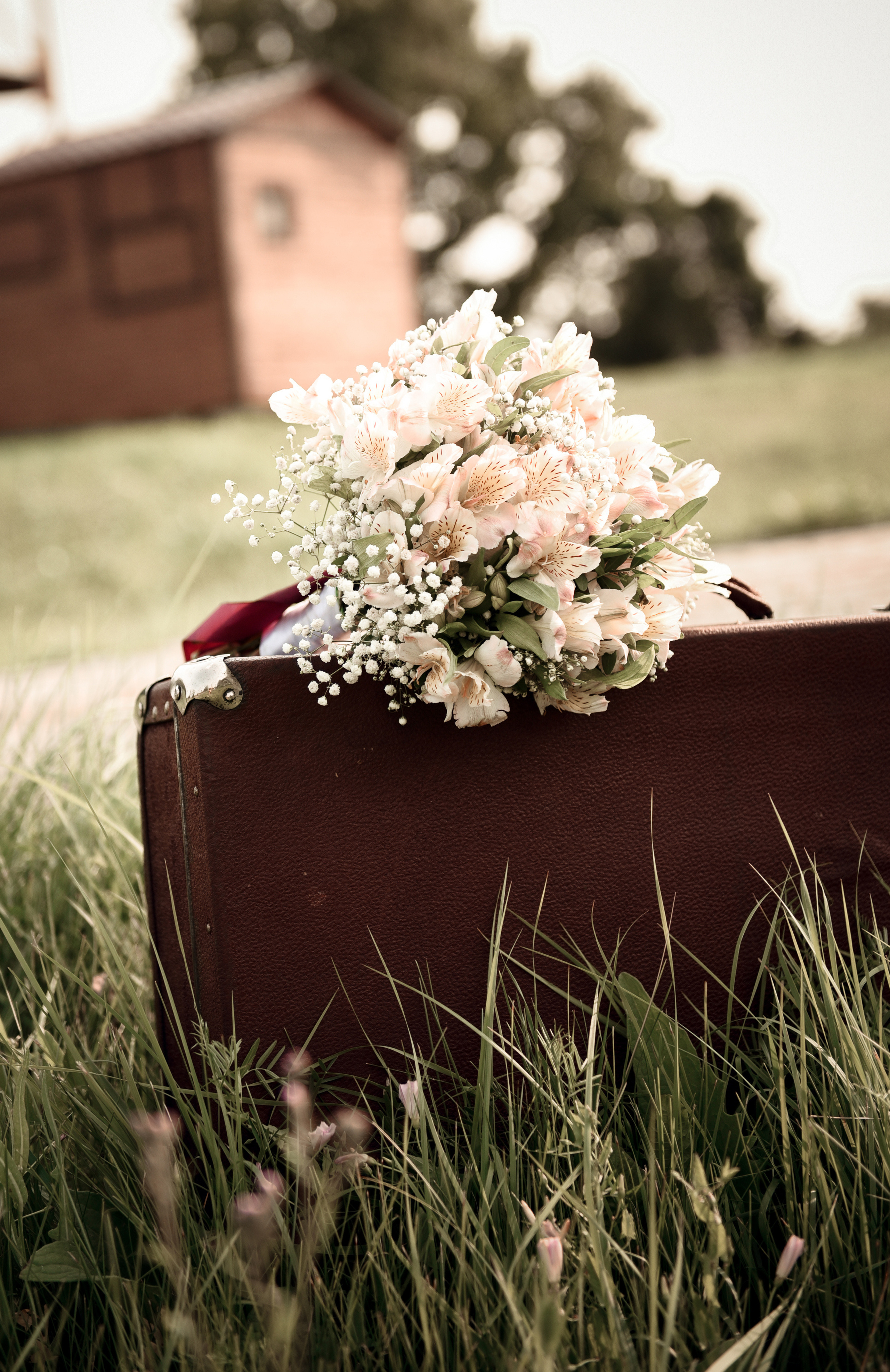 Роман и Алина. Свадебный, семейный, детский, контент фотограф в Омске Максим Ильин