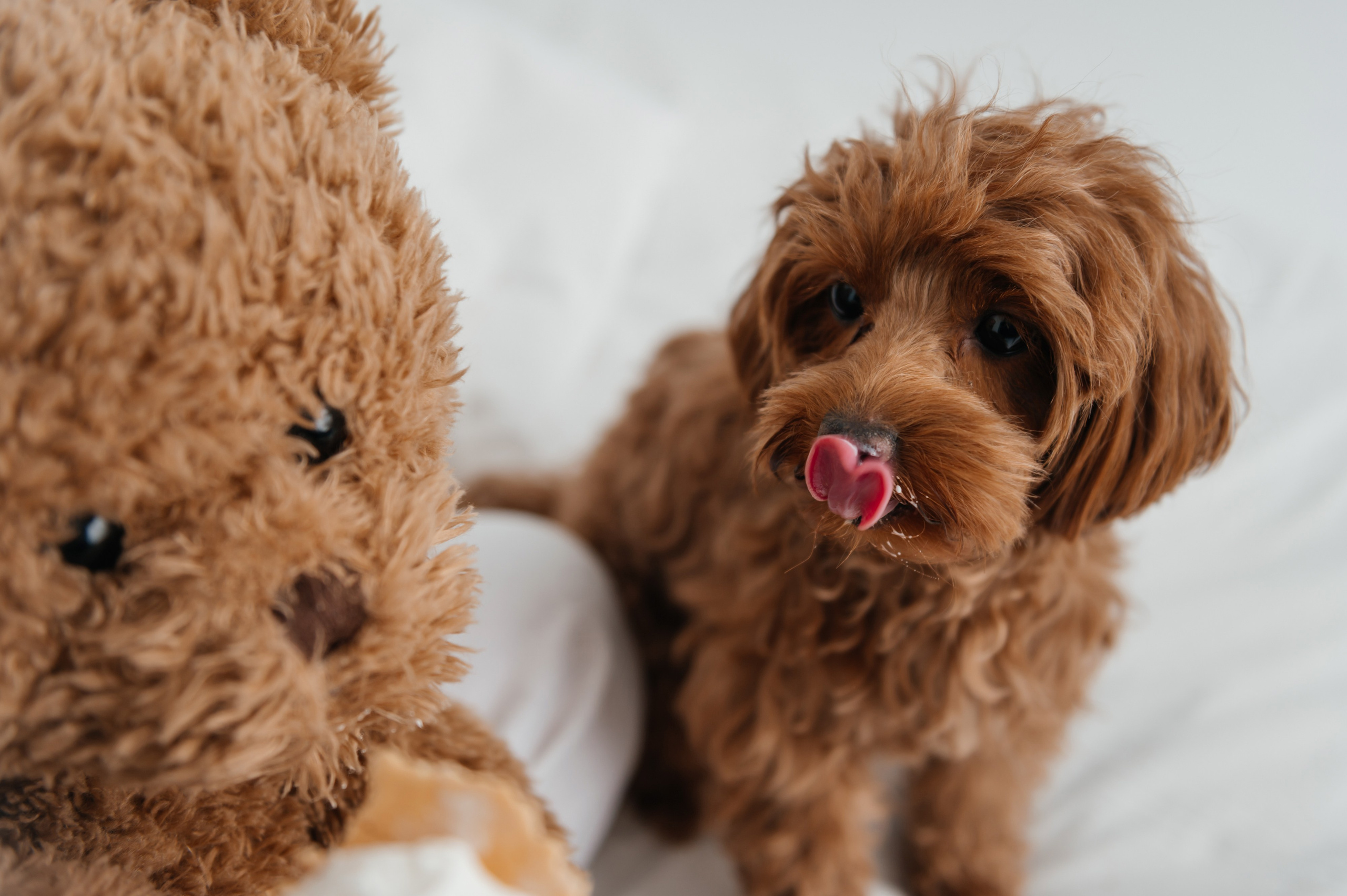 Семейные съемки. Фотограф Марина Лысова
