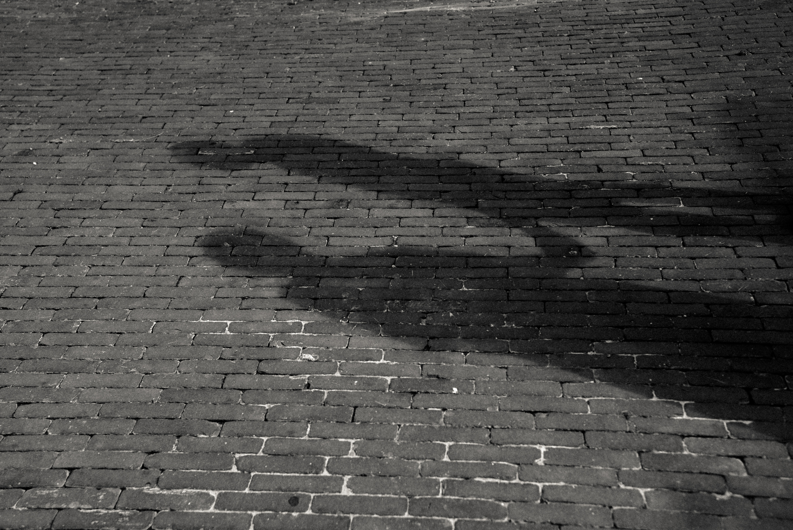 Семейная фотосъемка в городе воронеж, влюбленая пара. Свадебный фотограф — фотограф на свадьбу в Воронеже — Свадебное фото