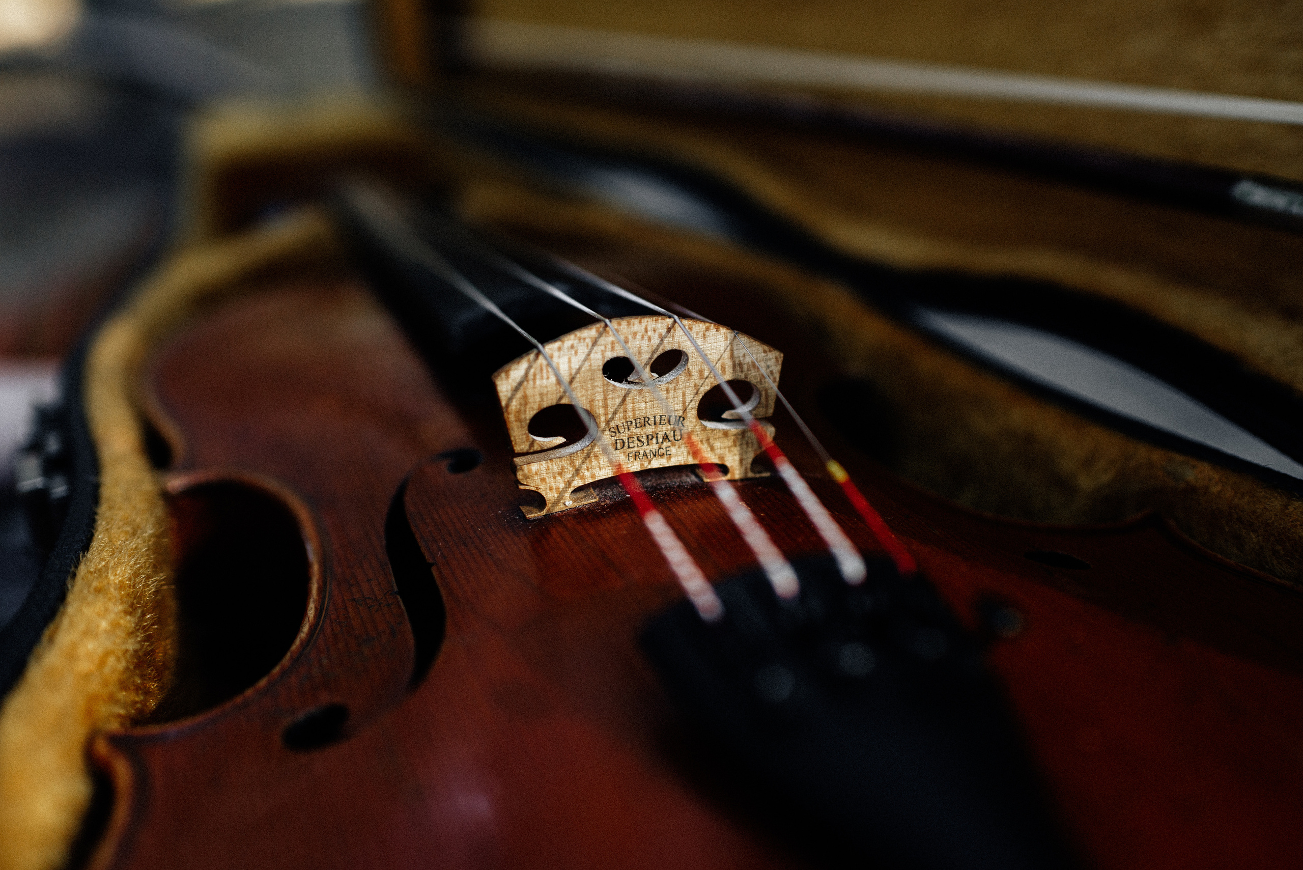 Крис. Свадебный фотограф — фотограф на свадьбу в Воронеже — Свадебное фото