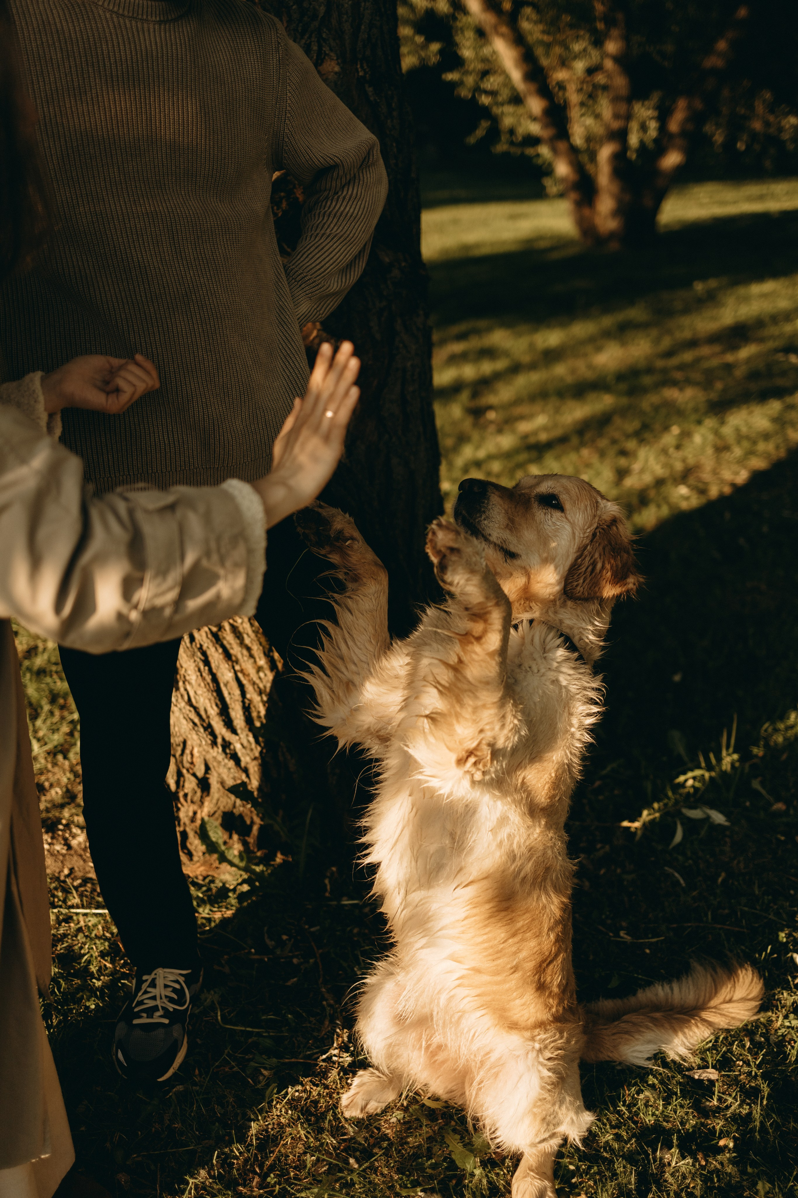 Пенни и ребята. Фотограф — Анималист | Санкт-Петербург