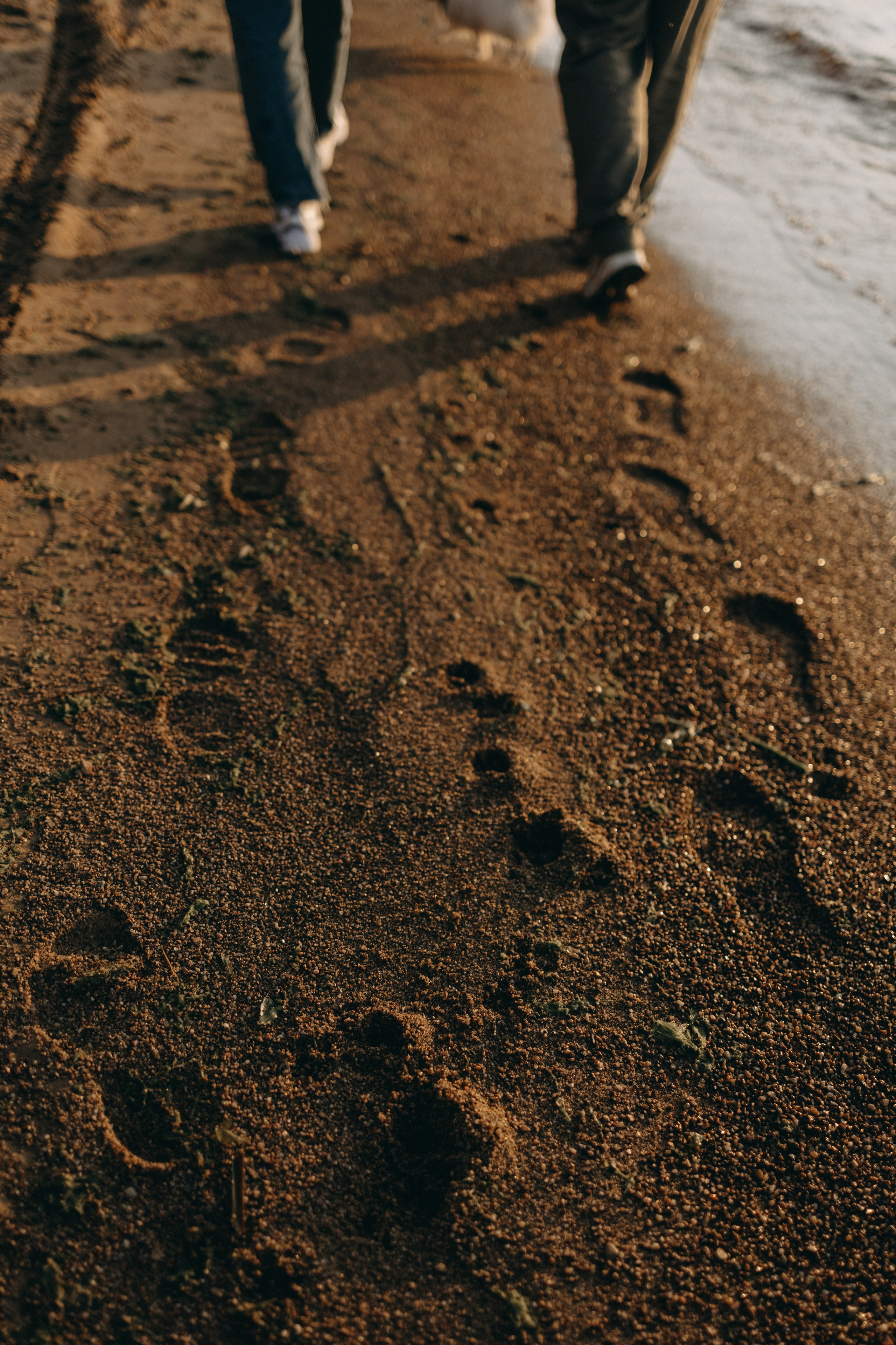Диана и ее мальчики. Фотограф — Анималист | Санкт-Петербург