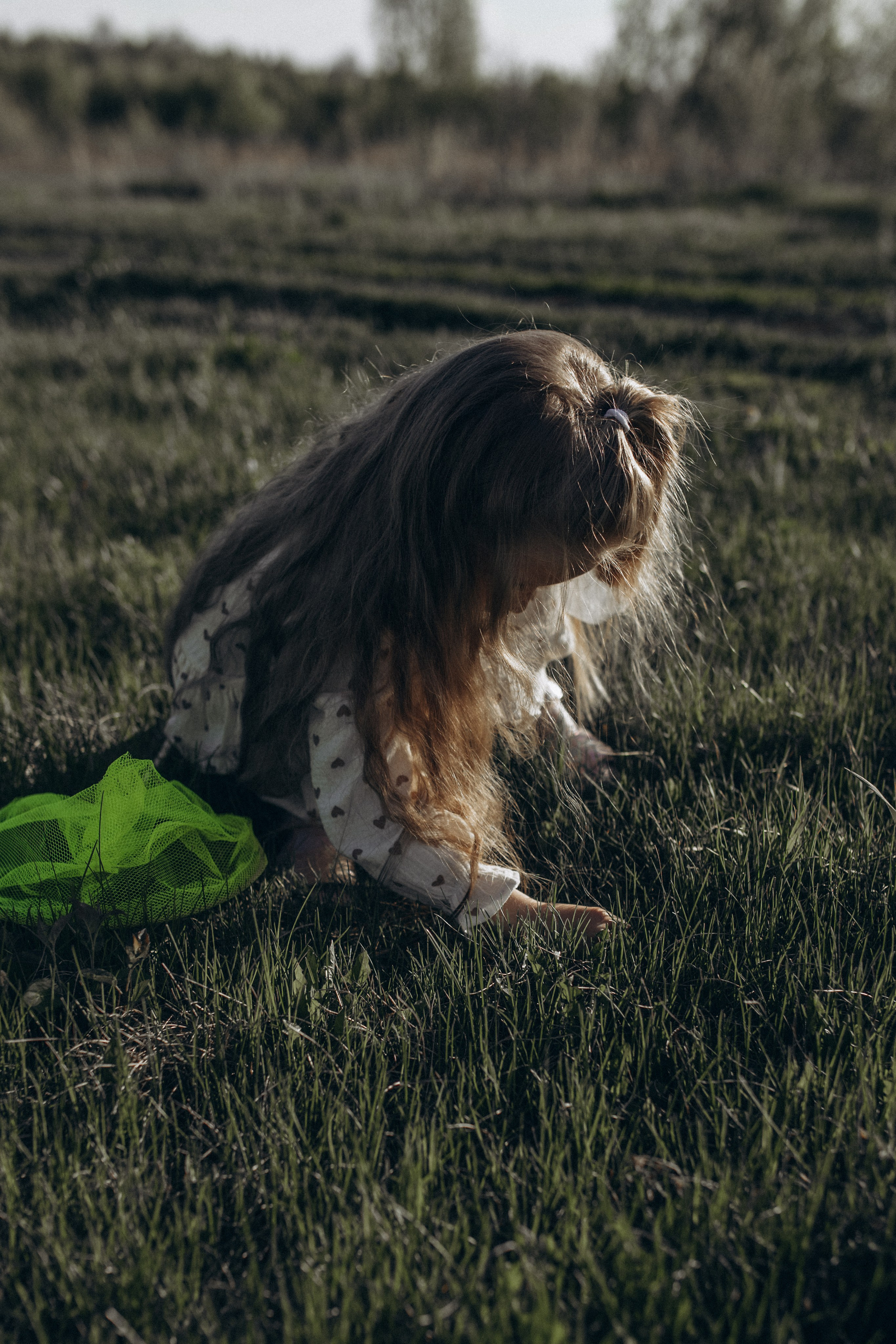 Саша, Миша, Вера и Вика летняя прогулочная съёмка. Семейный фотограф lifestyle в Новосибирске Елена Шпилевая