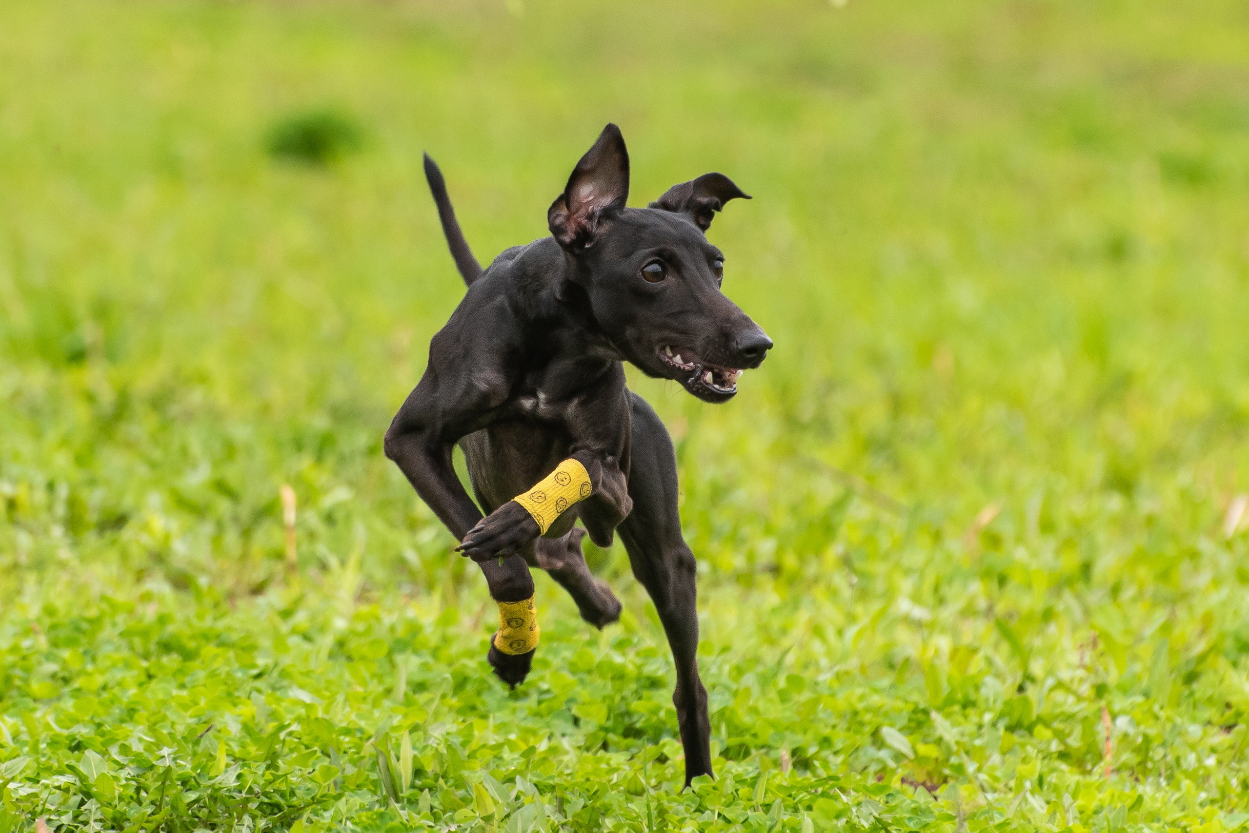 Фотографии с Курсинга. Фотограф Макс Огурцов в Нижнем Новгороде