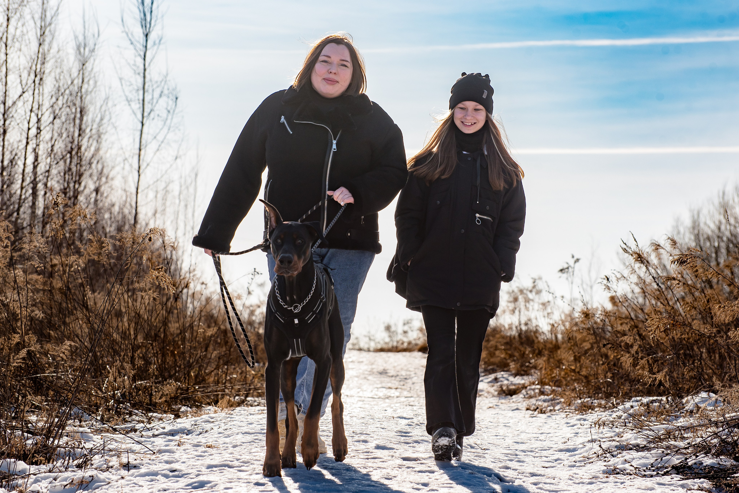 Фотосессию с любимчиком — доберманом. Фотограф Макс Огурцов в Нижнем Новгороде