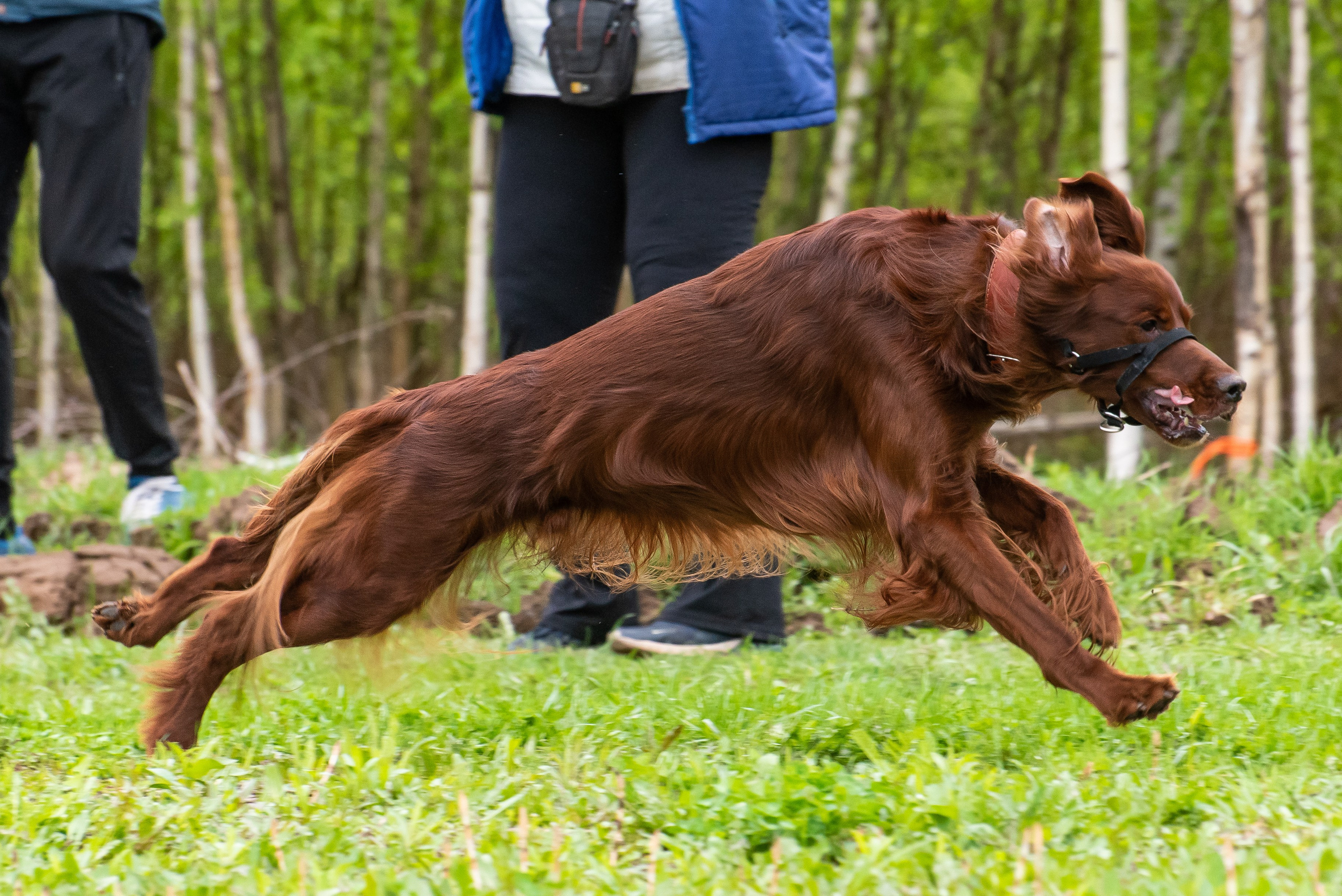 Фотографии с Курсинга. Фотограф Макс Огурцов в Нижнем Новгороде