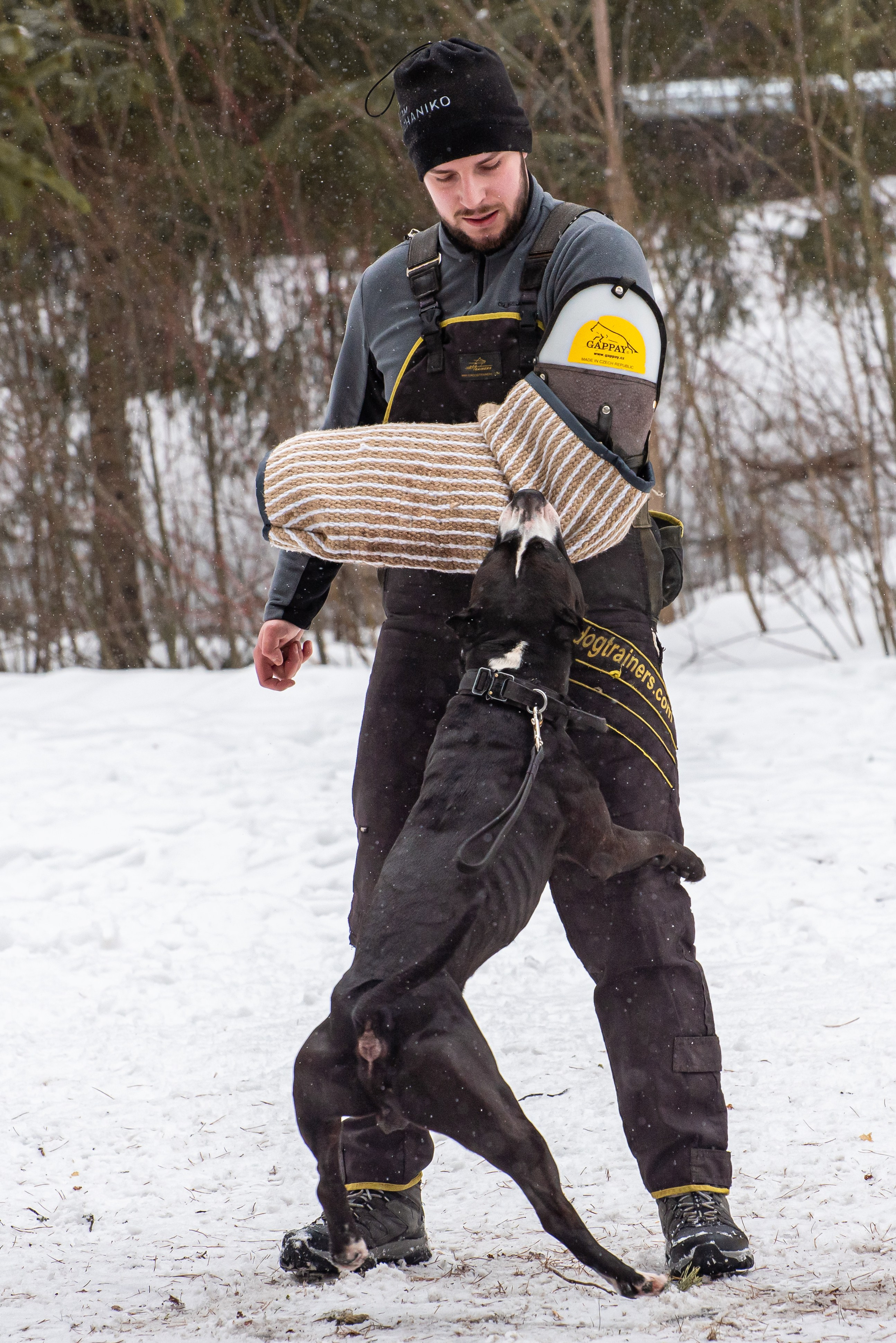 Фотосъёмка с собаками в Кинологическом лагере. Фотограф Макс Огурцов в Нижнем Новгороде