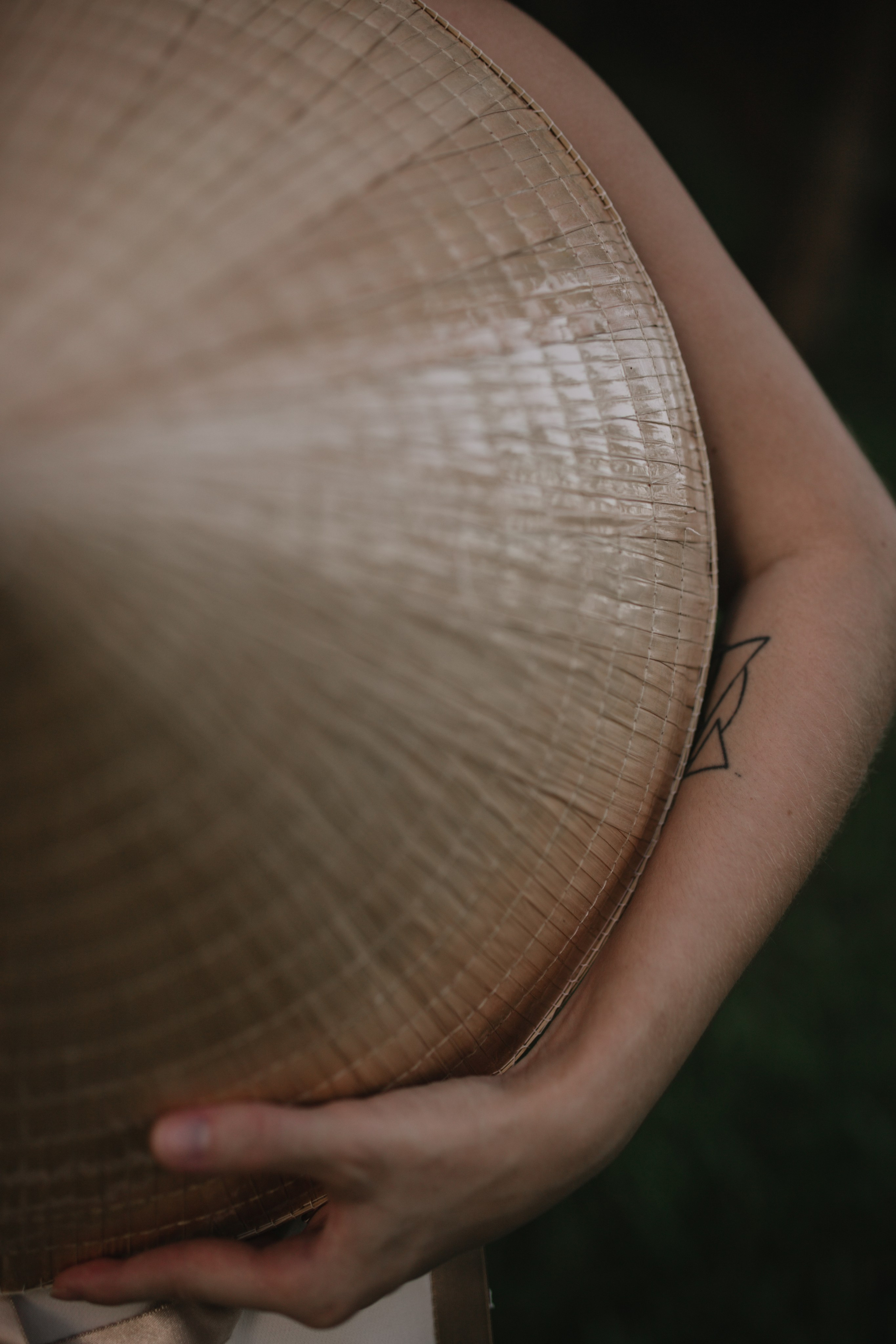 Елизавета на улицах Вьетнама. Главная