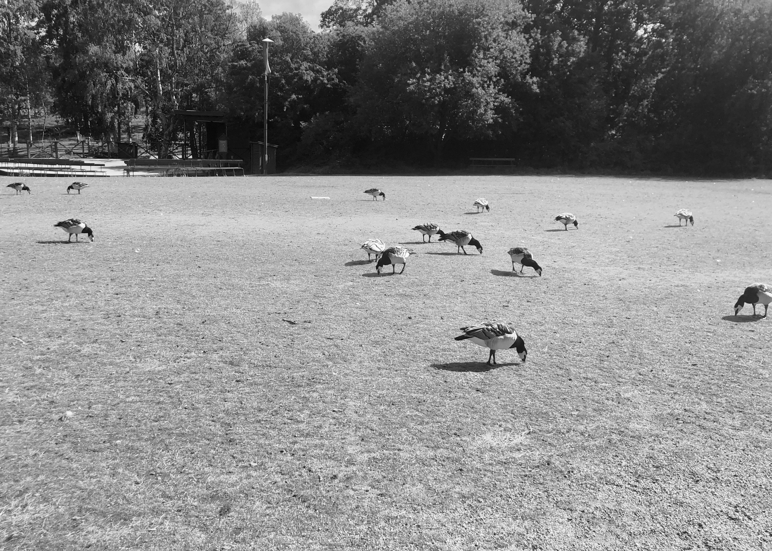 Frame 34 / 34 кадр. Художник Катерина Копейкина / Artist Katerina Kopeikina