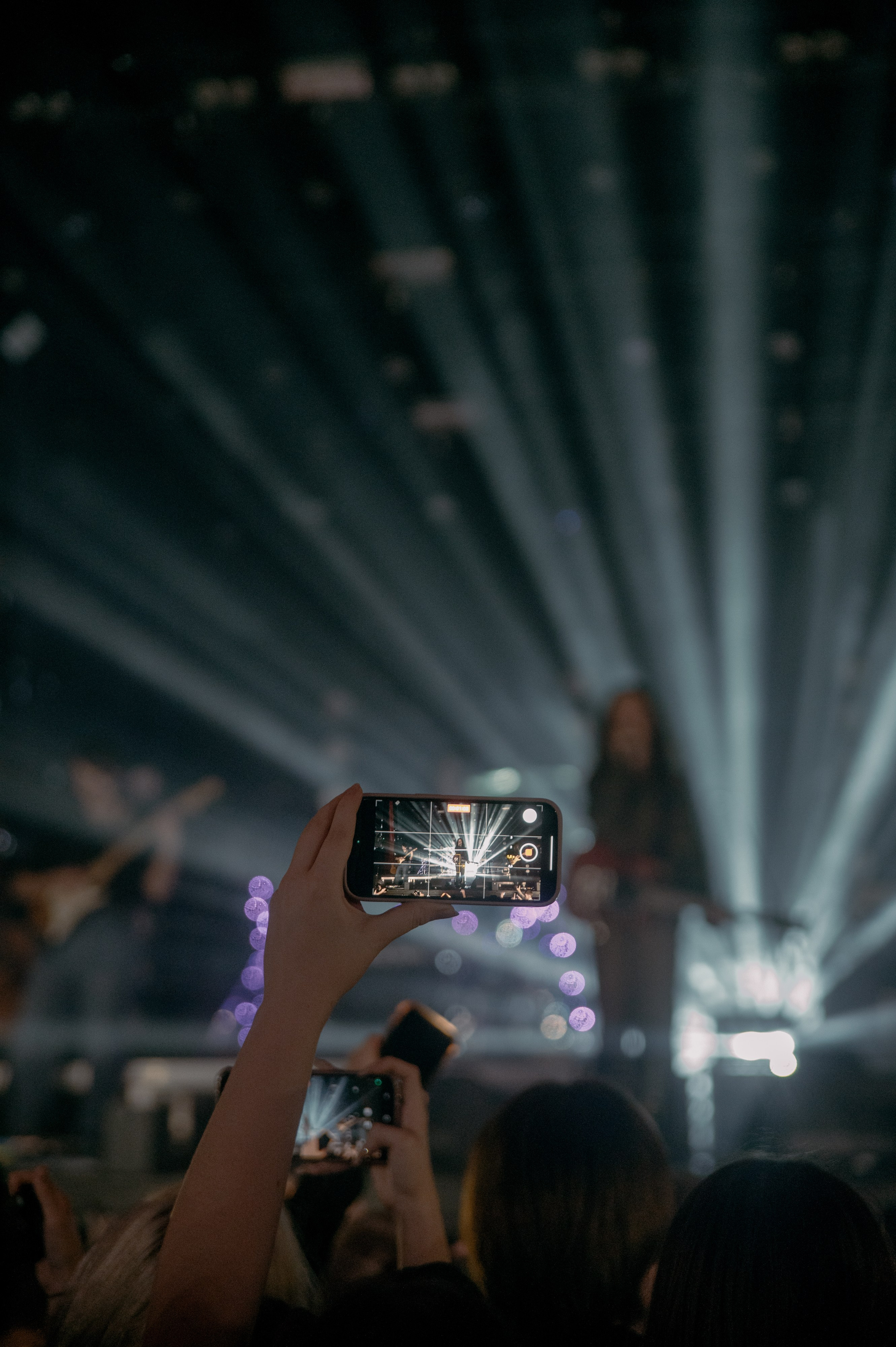 Ssshhhiiittt!. Контент фотограф Илья Урс