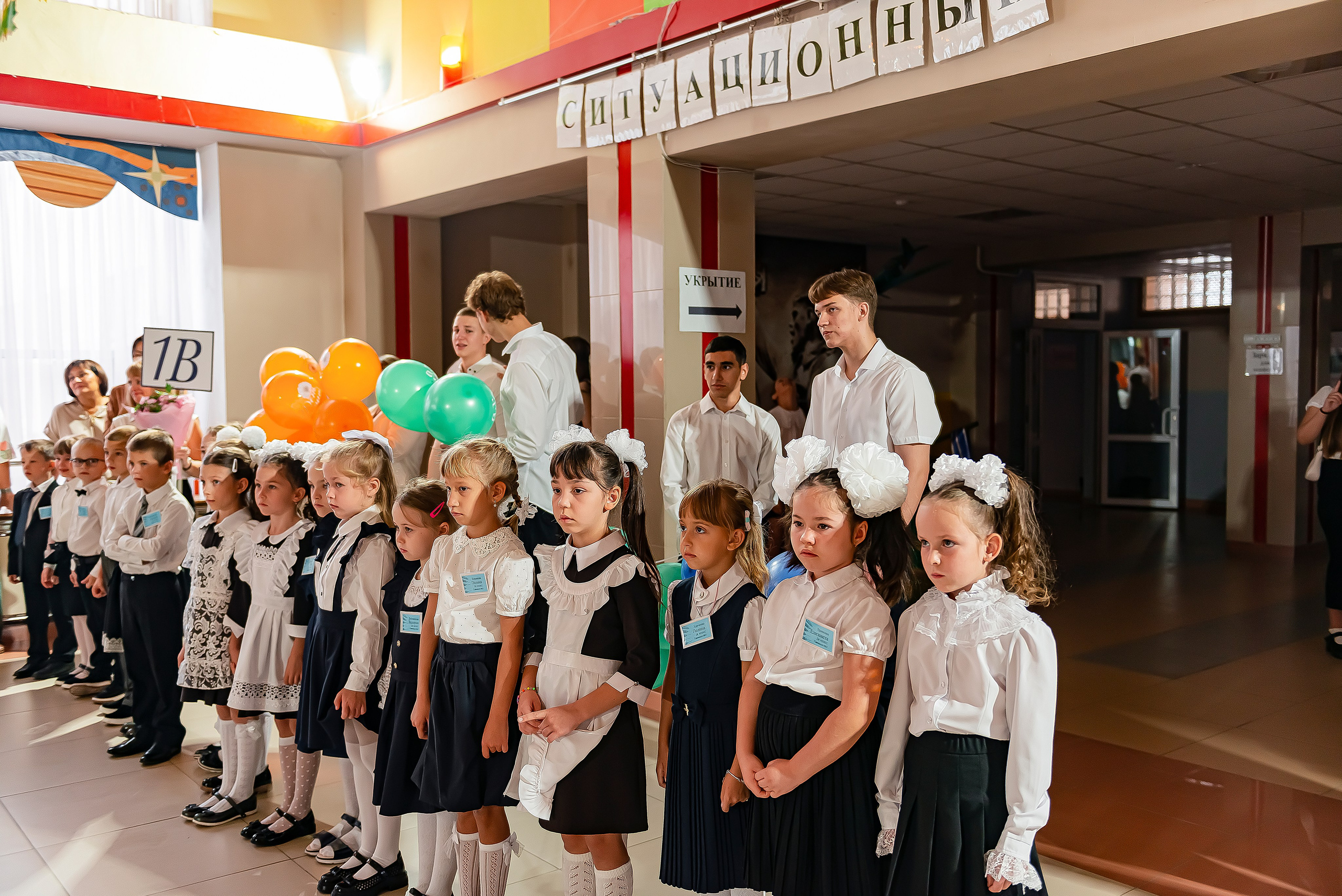 1 «В» | Гимназия № 3| г. Белгород |2024. ALBUMIA