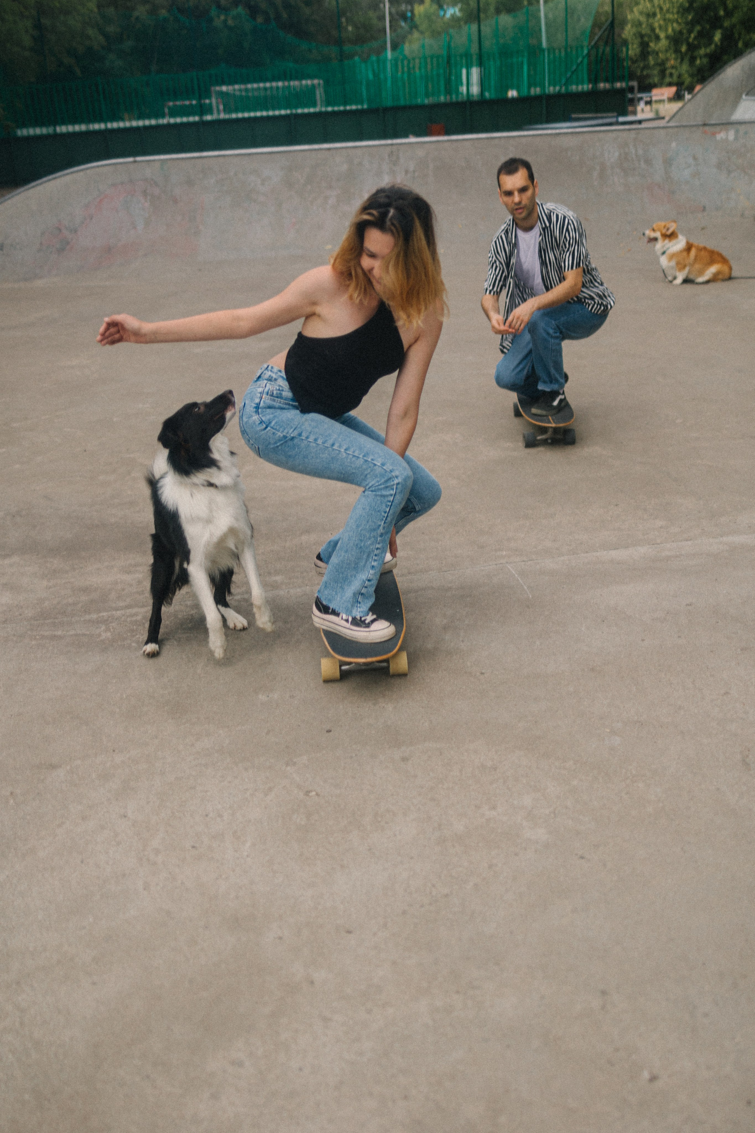 Брюс, Вейв и их ро. Фотораф — анималист Мария Шистка