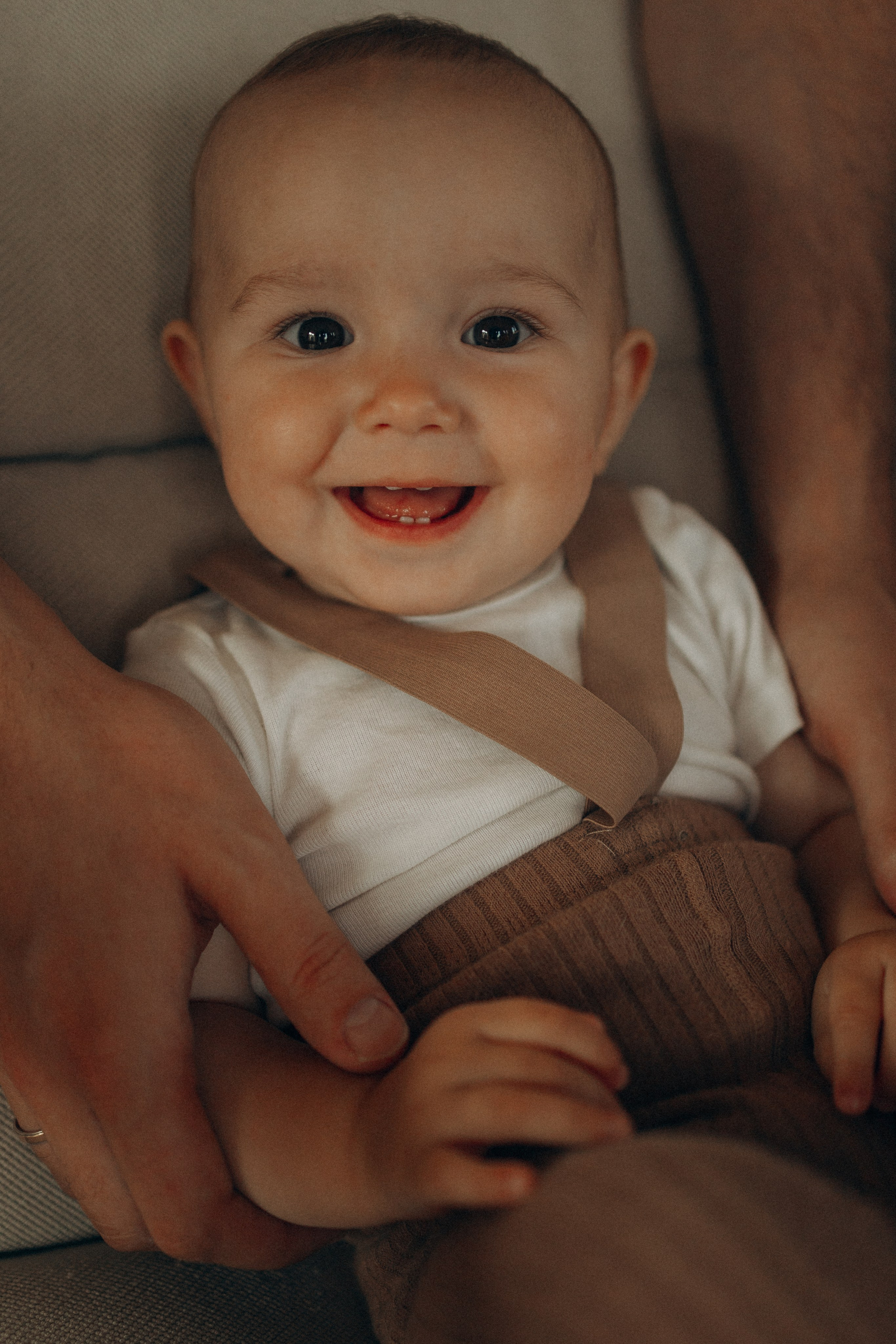 Семейная. Фотораф — анималист Мария Шистка