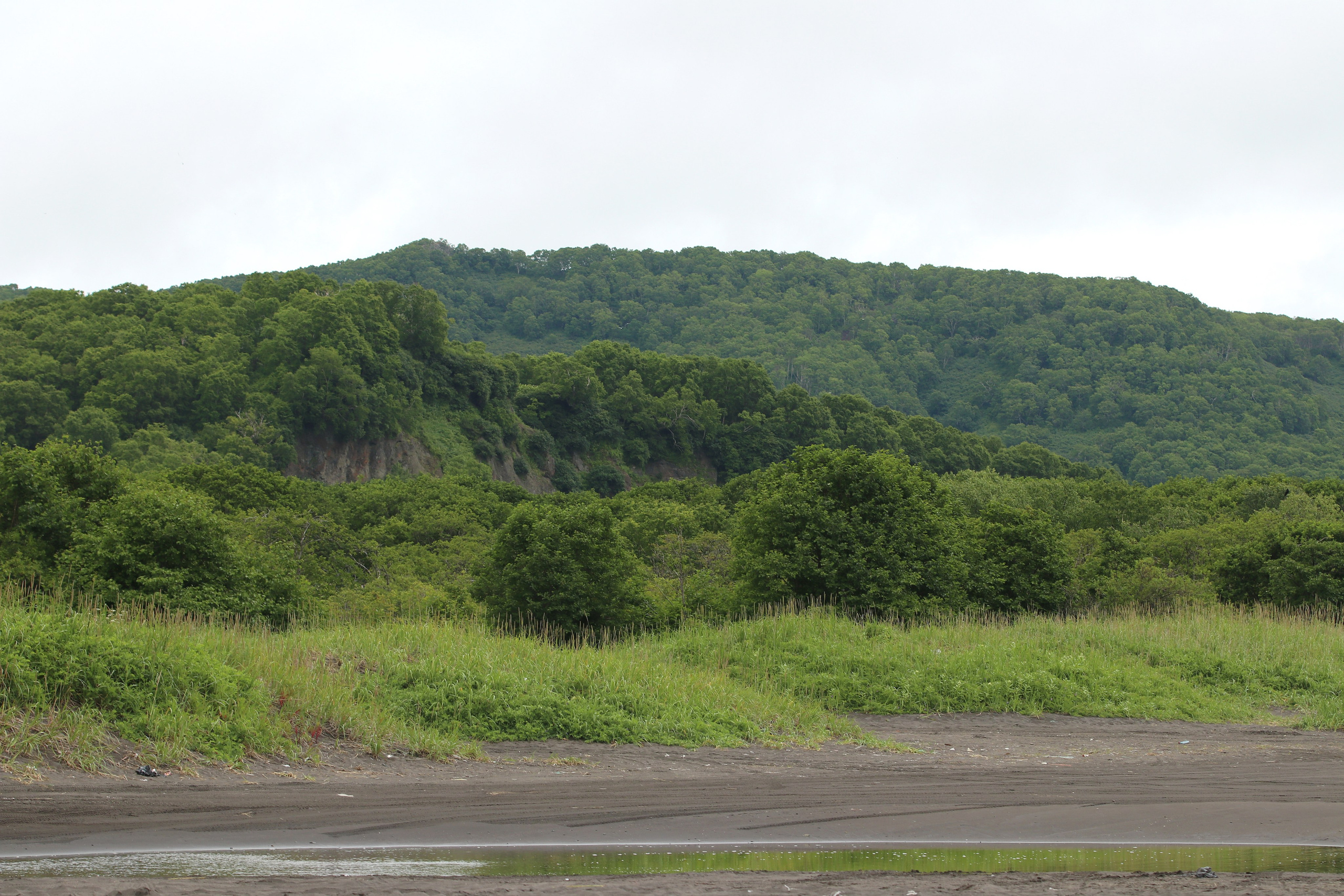Камчатка и о. Парамушир. Июль 2024. Путешественник-фотограф из Санкт-Петербурга Татьяна Свистулина