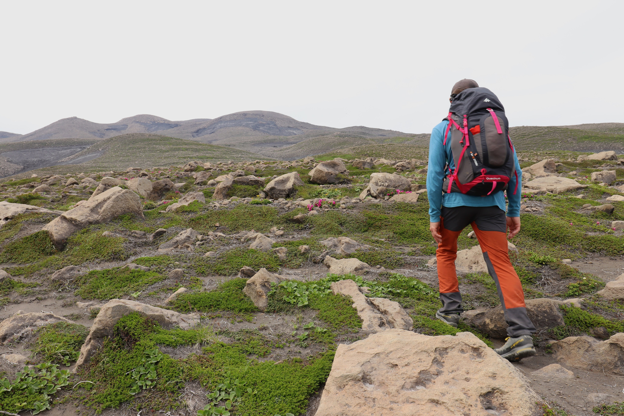 Камчатка и о. Парамушир. Июль 2024. Путешественник-фотограф из Санкт-Петербурга Татьяна Свистулина