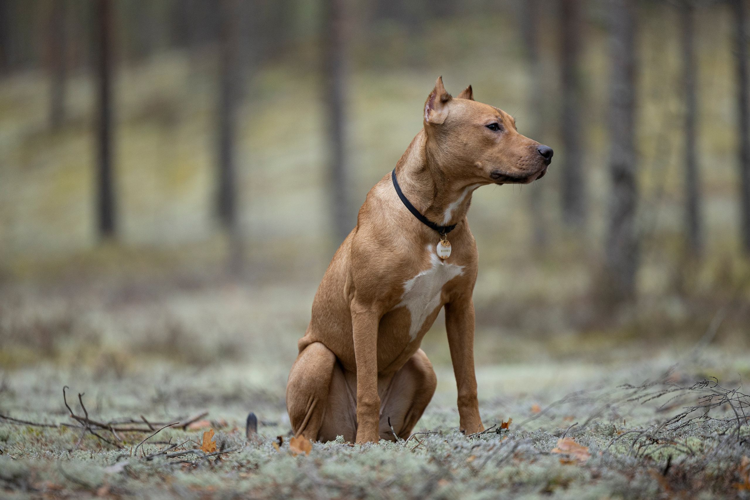 Лужские Мальдивы. Фотограф-анималист Анна Маринич