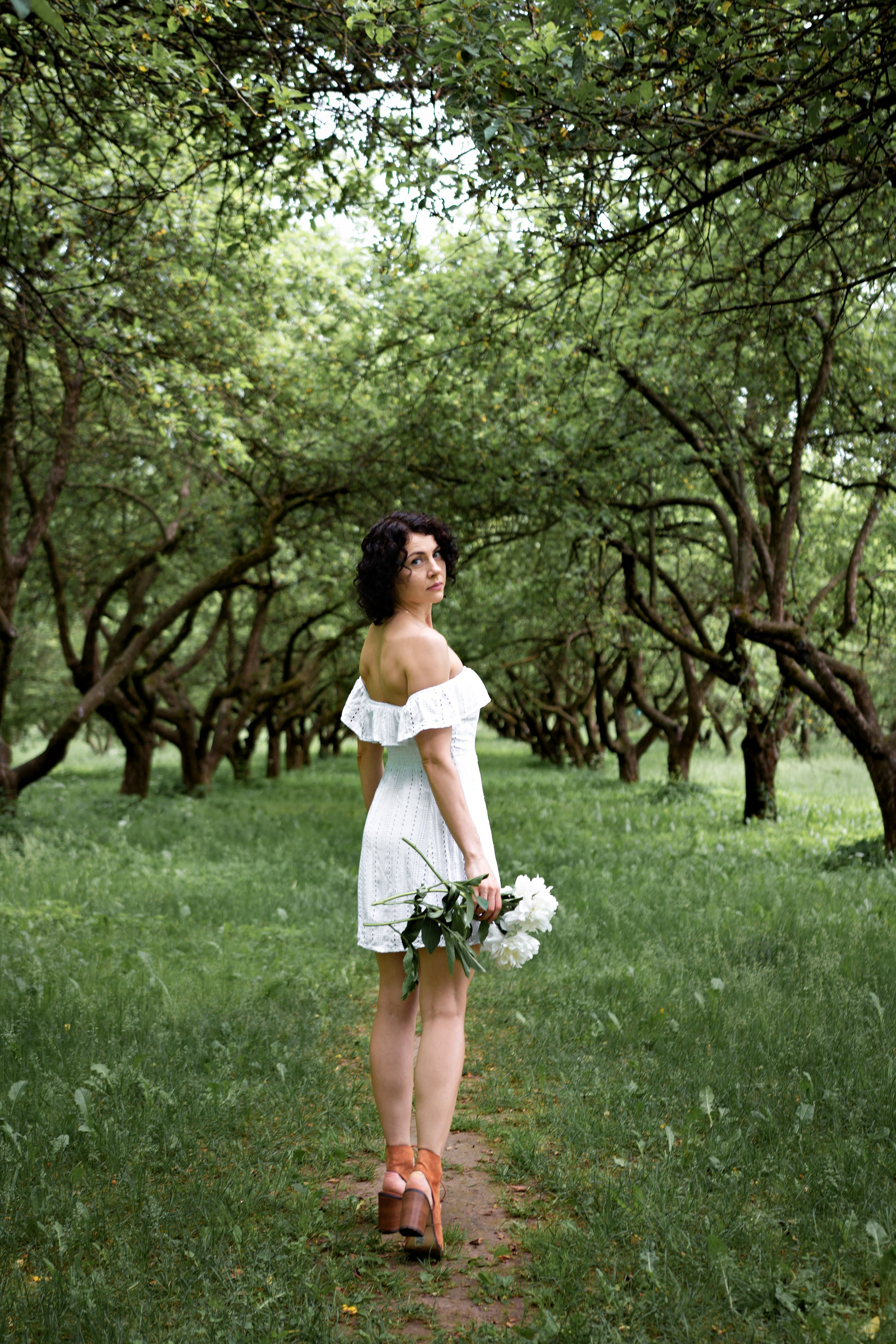 Зелёная симфония